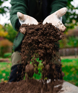 Garten-, Pflanzen- & Blumenerde