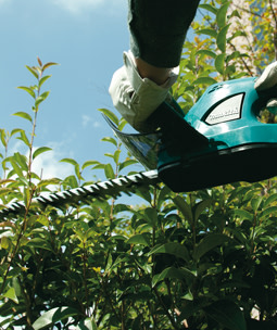 Grasscharen & buxusscharen