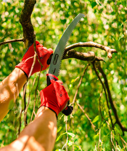 Scies  main & scies tlescopiques