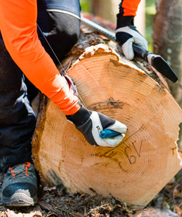 Markierungen & Warnschilder