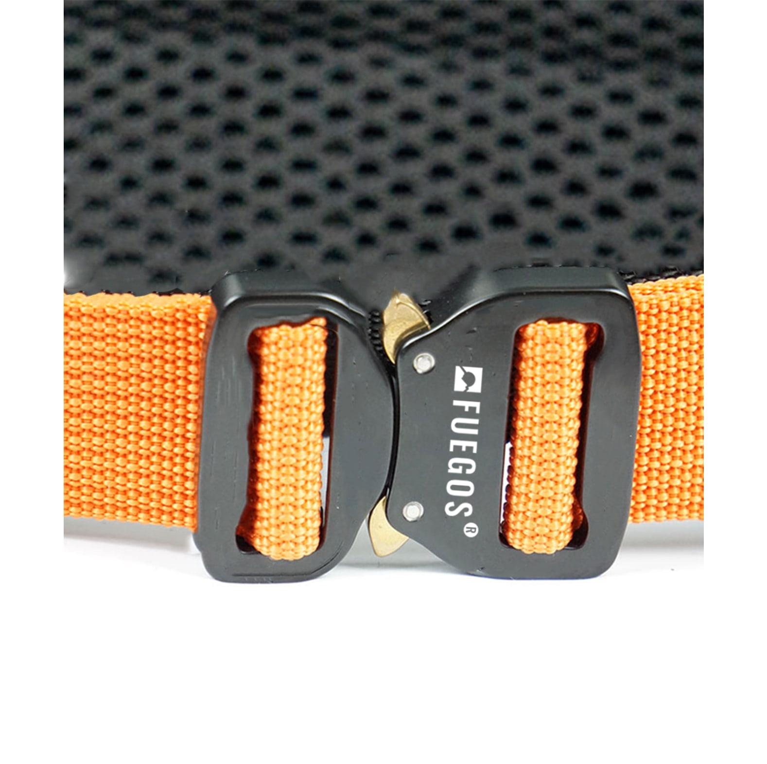 Fuegos Profi Bosbouwriem Zwart/Oranje - bij KOX online bestellen | XX97500-00