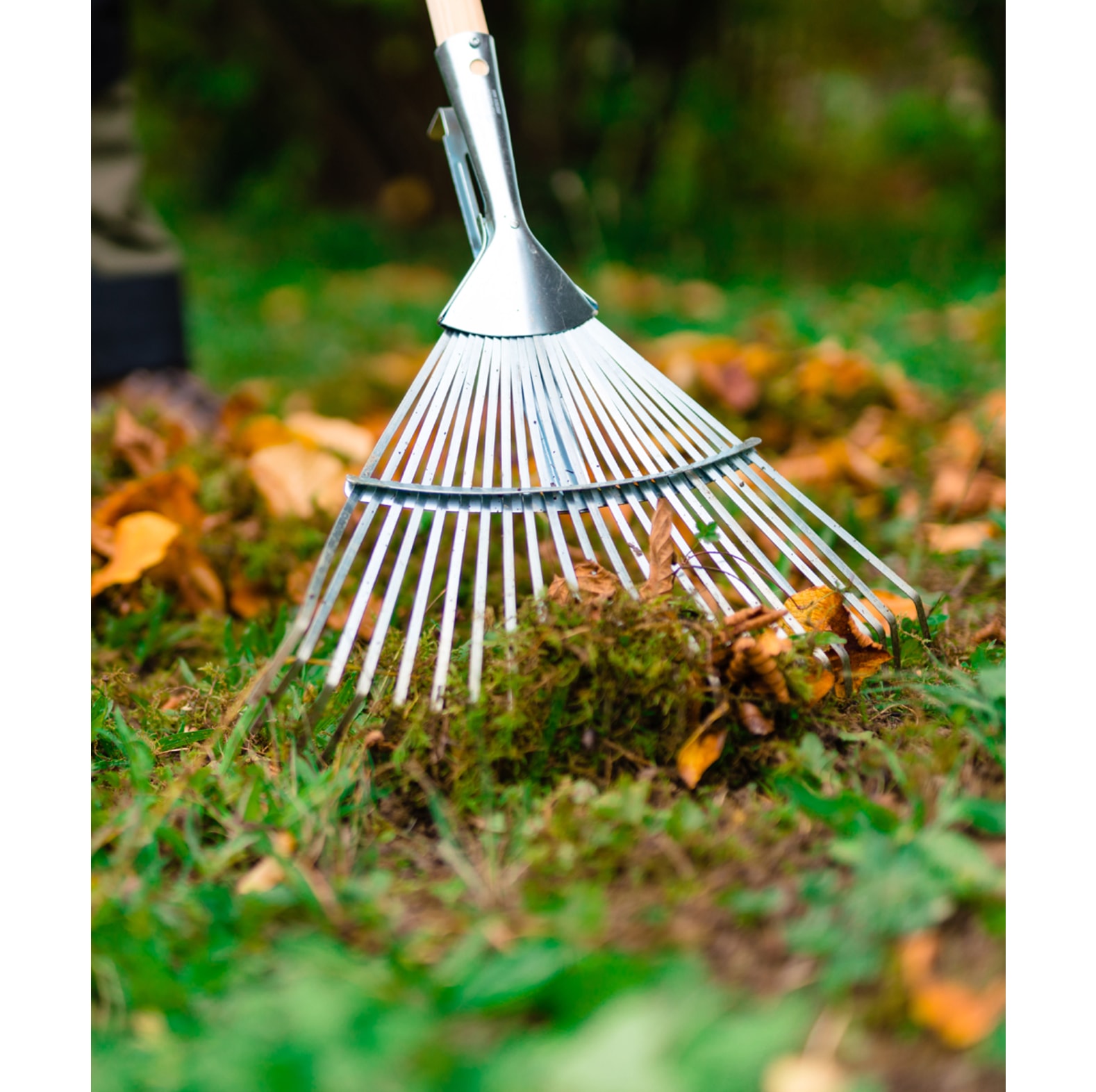 SHW Laubbesen Profi unverstellbar - bei KOX online bestellen | XXSHW54697