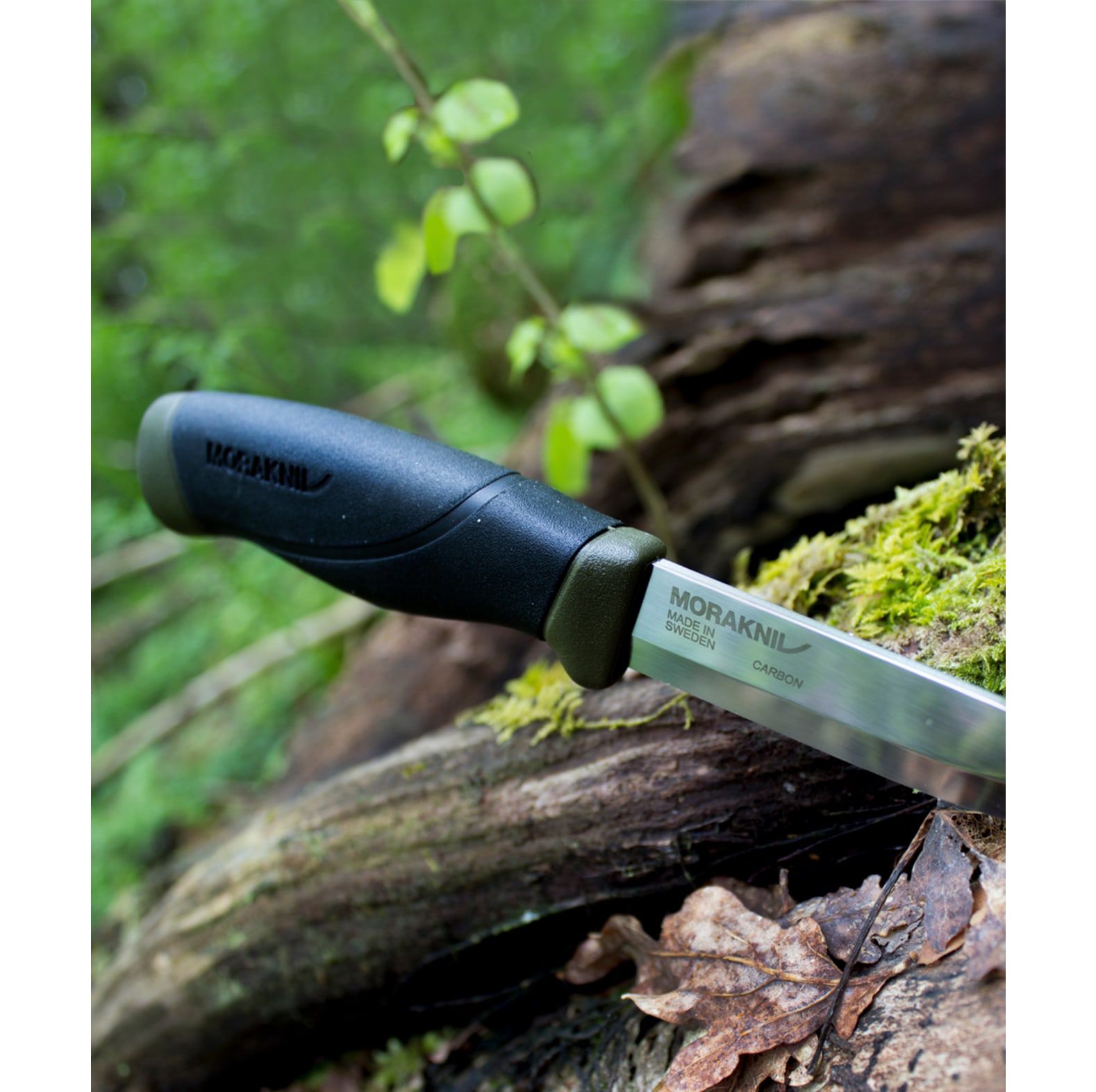 MORAKNIV  Jagdmesser / Outdoormesser Companion  / 10 cm / Schwarz-Olivgr�n - bei KOX online bestellen | XXMO11863