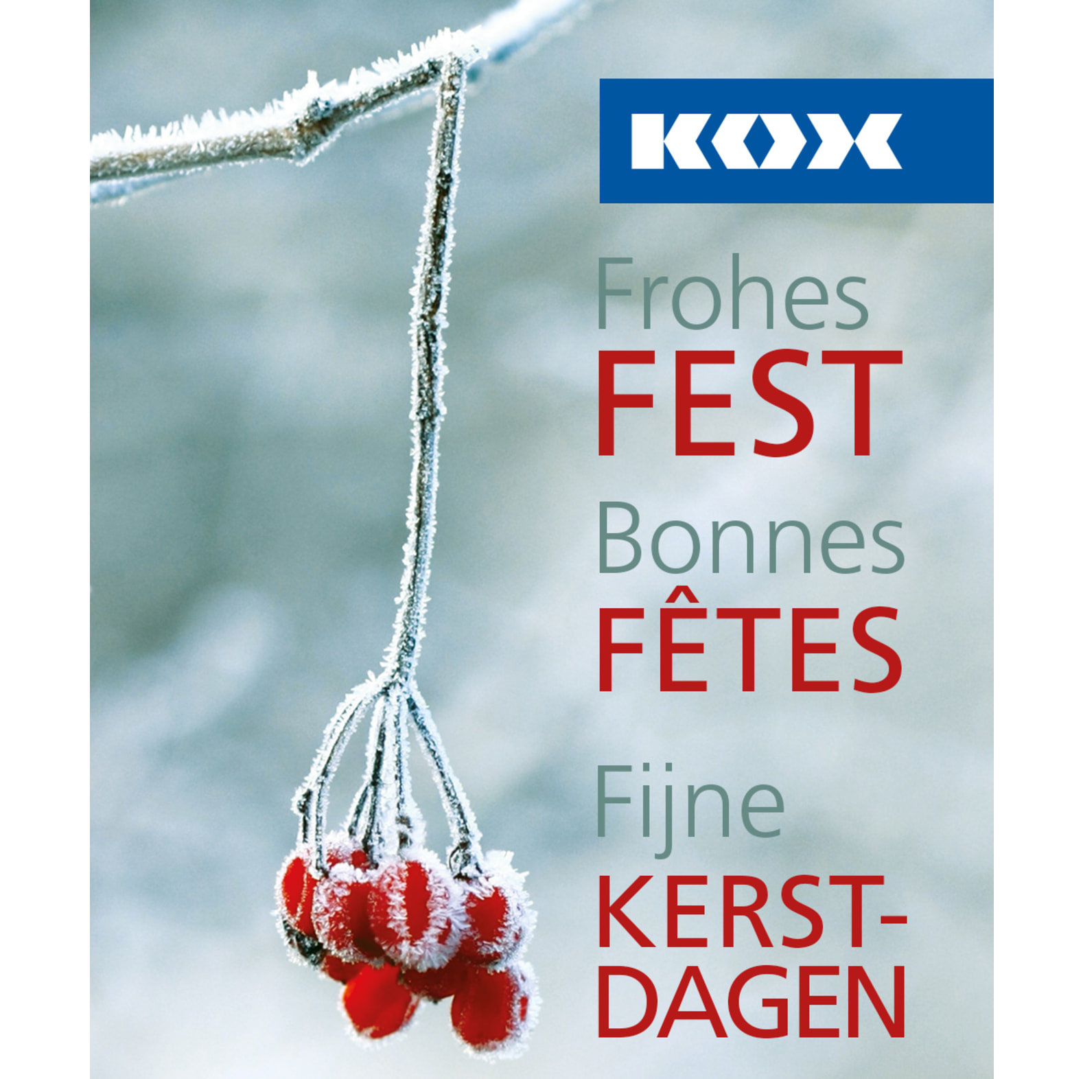  Carte cadeau KOX - Joyeuses Ftes - commander en ligne chez KOX | XXDEGV-6 