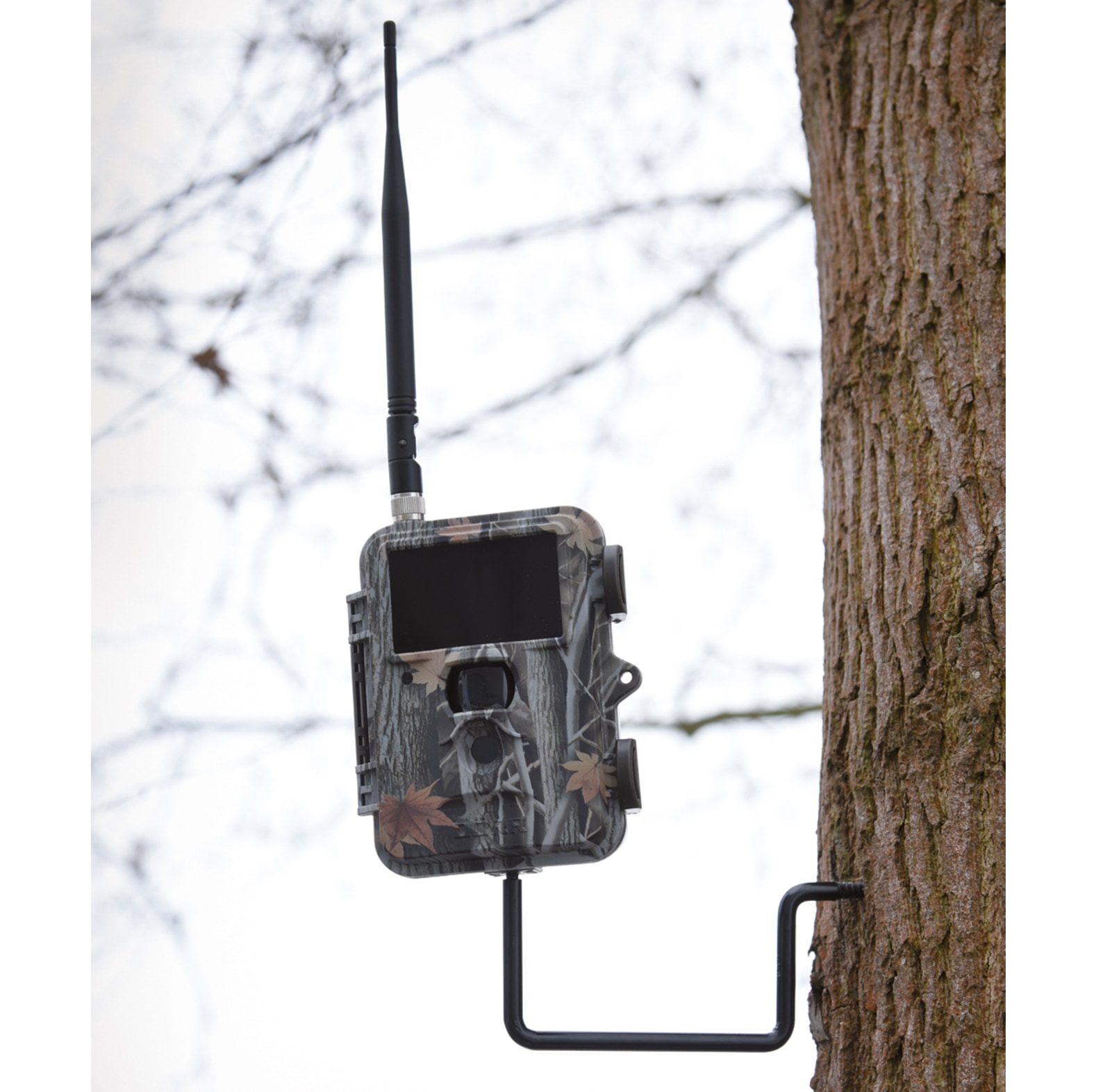 DRR Baumschraube 1/4