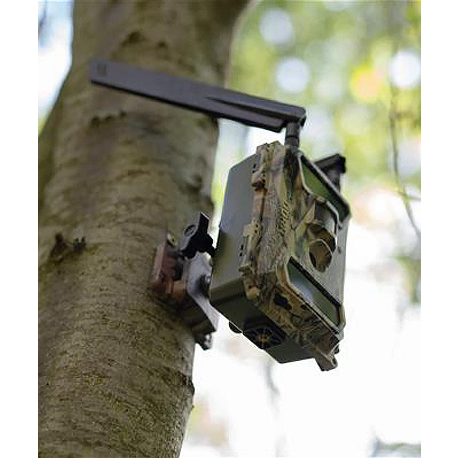 DRR Haltesystem Multi fr SnapShot camouflage - bei KOX online bestellen | XXDR204490