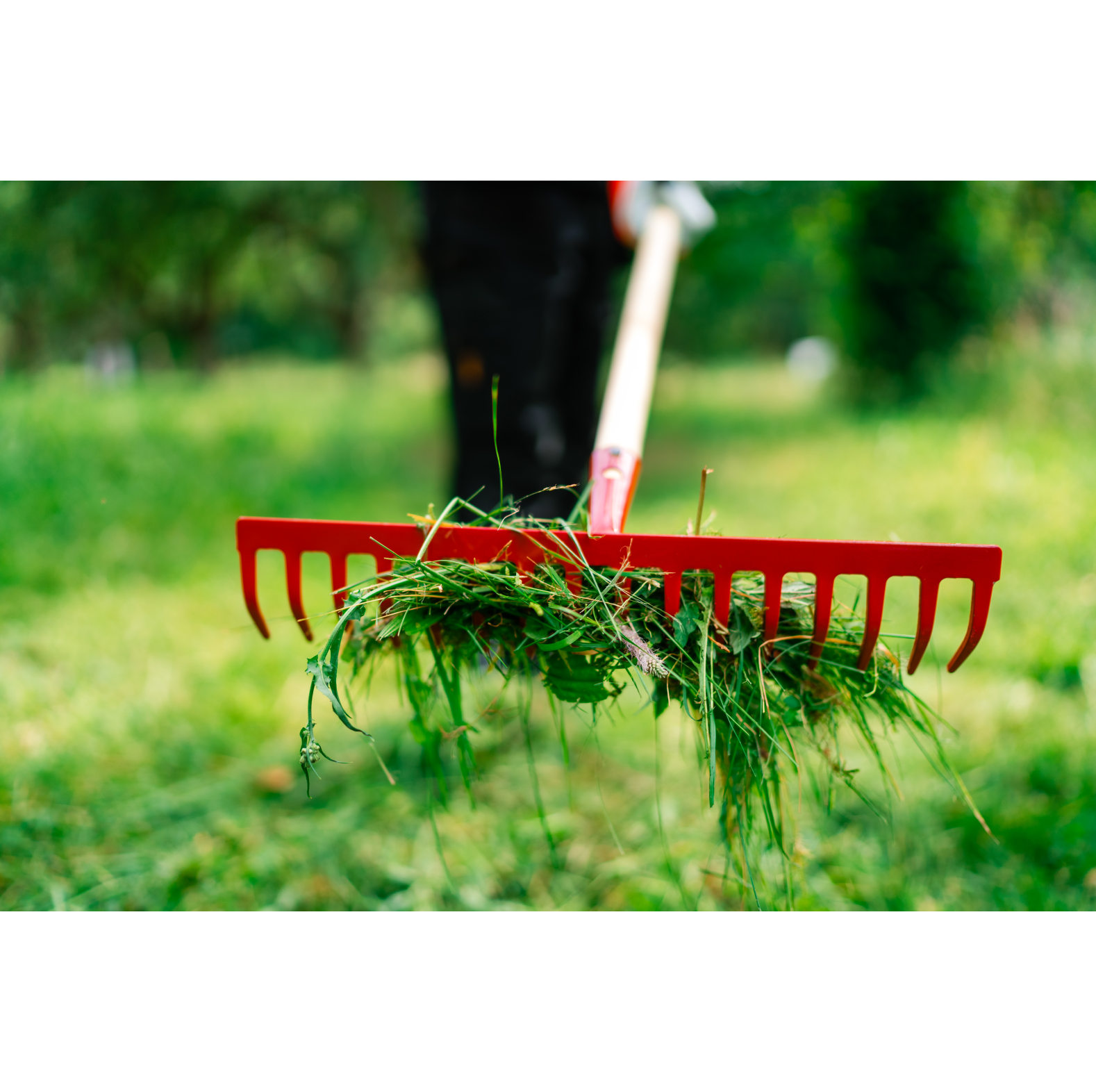 KOX Gartenrechen - bei KOX online bestellen | XXKOX56756