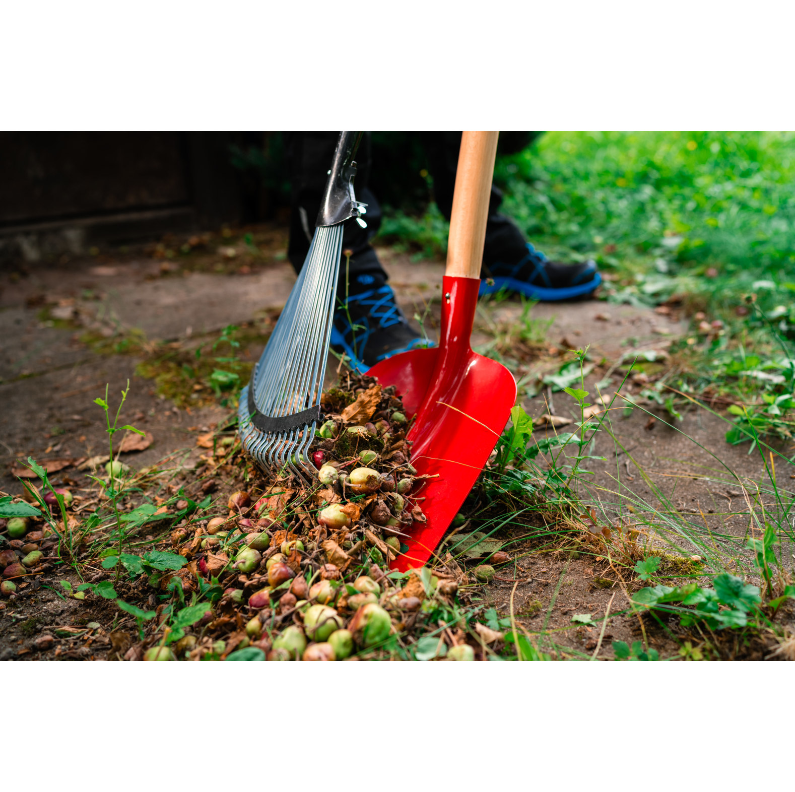 KOX Laubbesen "Profi" verstellbar - bei KOX online bestellen | XXKOX56764