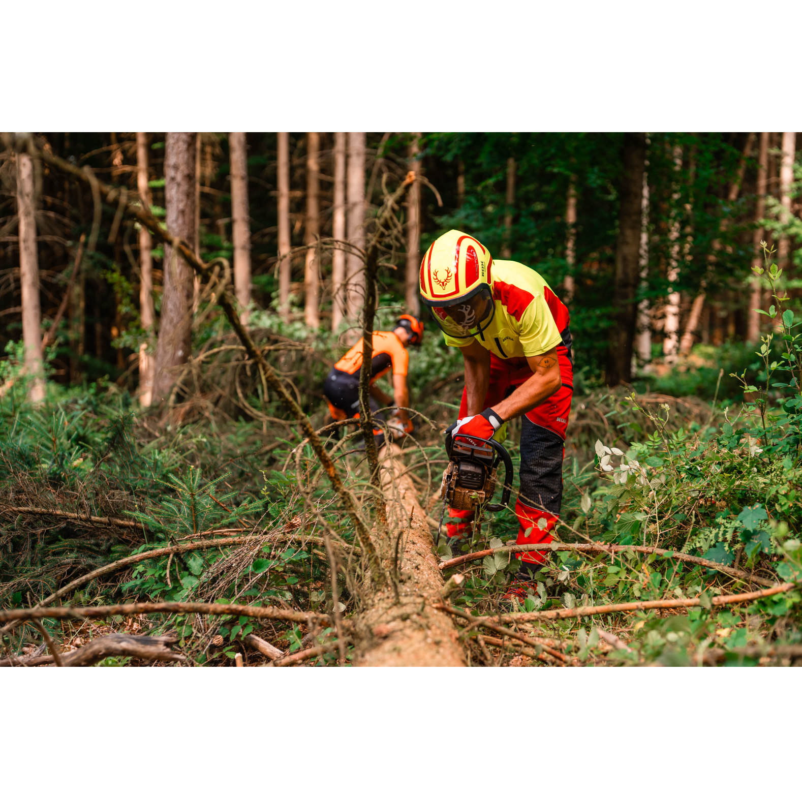 PROTOS� Casque forestier/casque de protection KOX Edition avec protection auditive et visi�re Integral Forest Jaune fluo/Rouge OneSize - commander en ligne chez KOX | XX74109
