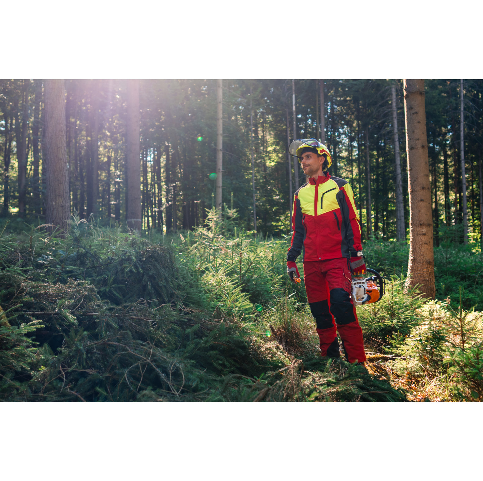 PROTOS� bosbouwhelm / veiligheidshelm KOX editie met gehoorbescherming en vizier Integral forest neon geel/rood one size - bij KOX online bestellen | XX74109