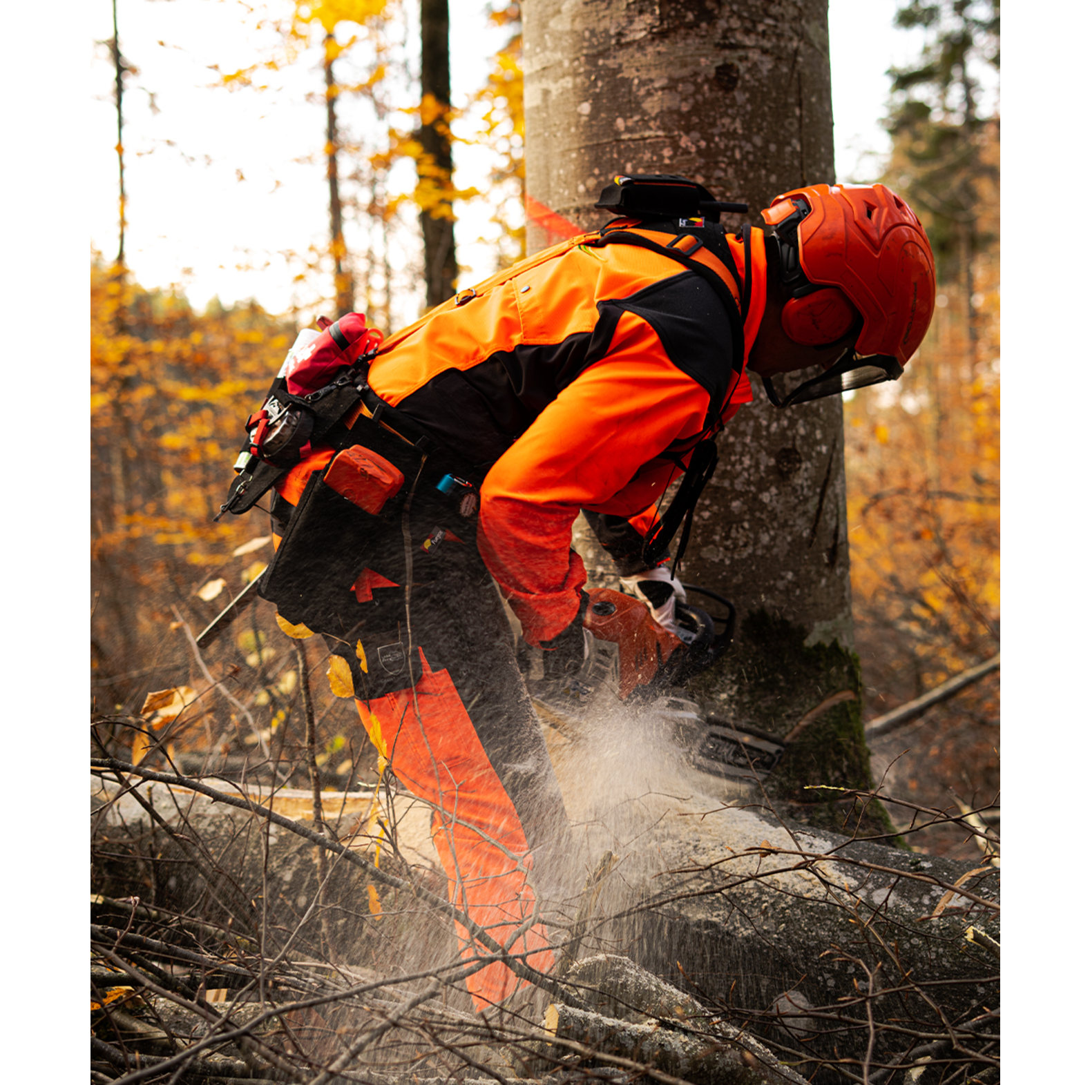 Fuegos Bosbouwriem Zwart/Oranje - bij KOX online bestellen | XX97501-00