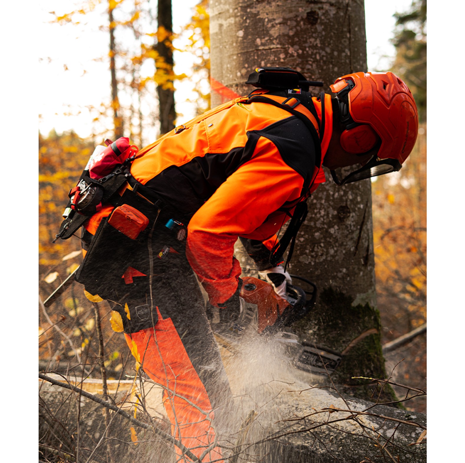 Fuegos Keiltasche f�r 2 Keile - bei KOX online bestellen | XX97505