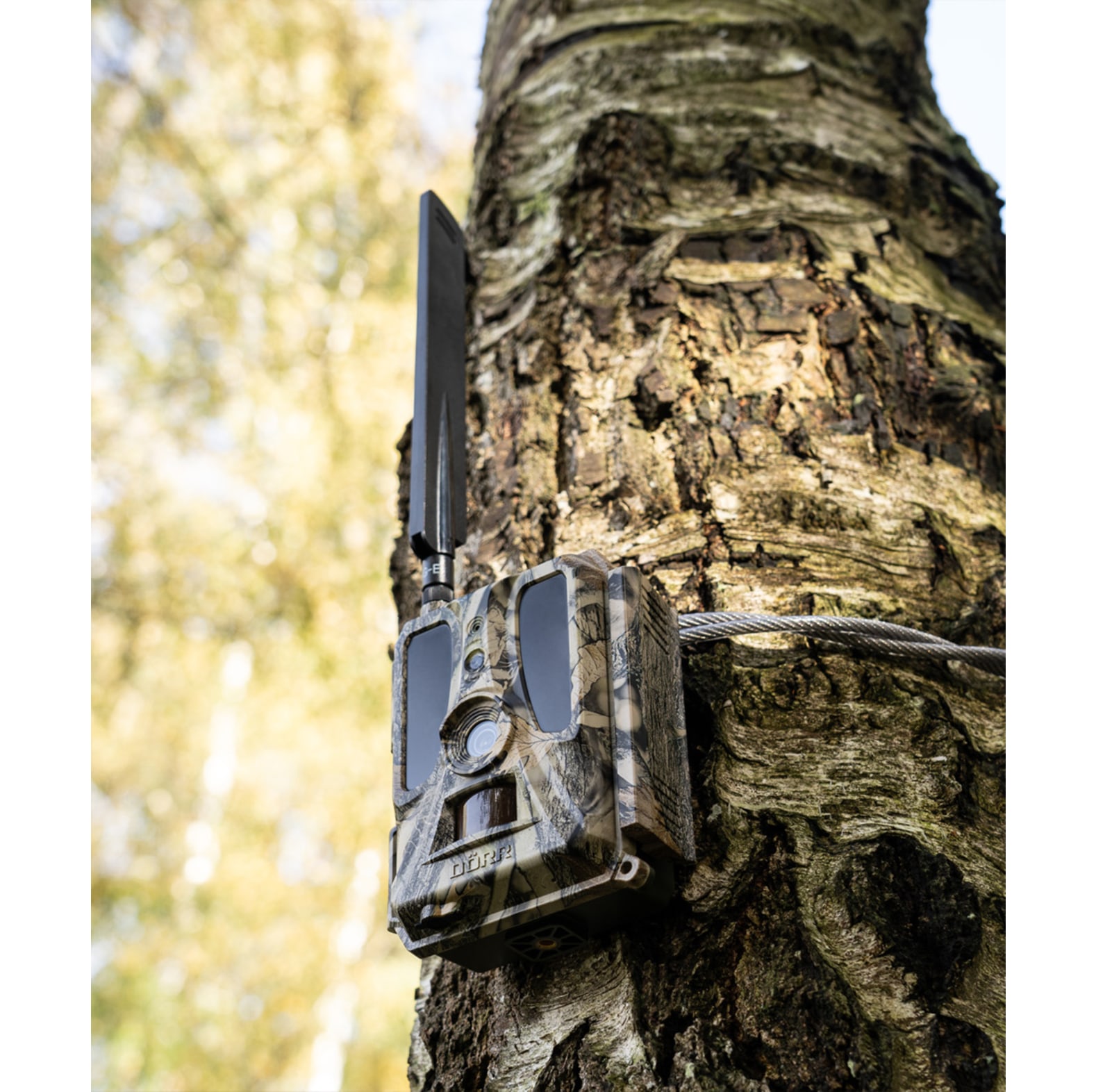 Camra de surveillance de la faune SnapShot Cloud Pro 4G Drr - commander en ligne chez KOX | XXDR204448