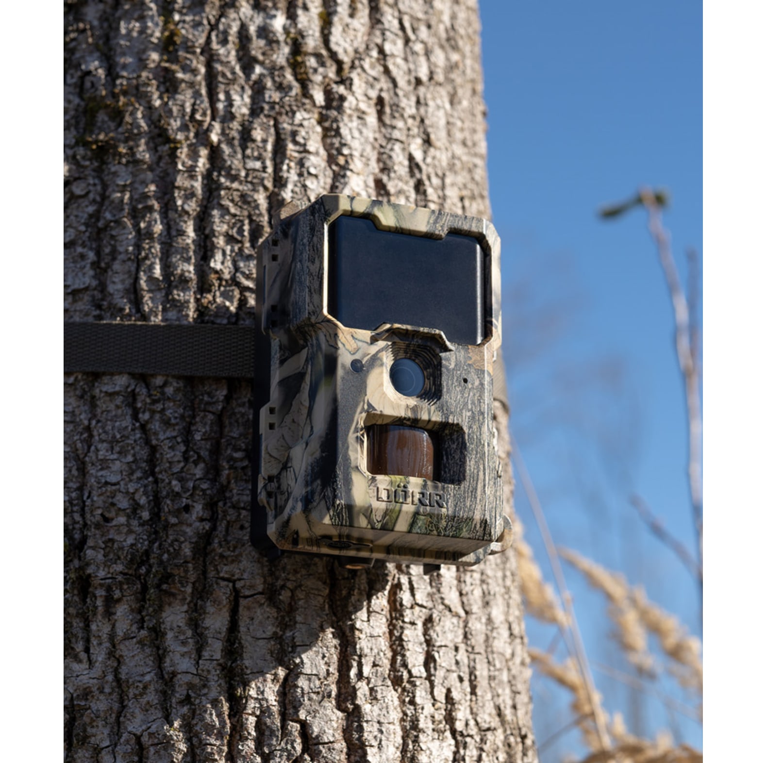 Drr Wildkamera SnapShot Mini 5.0 Pro - bei KOX online bestellen | XXDR204501