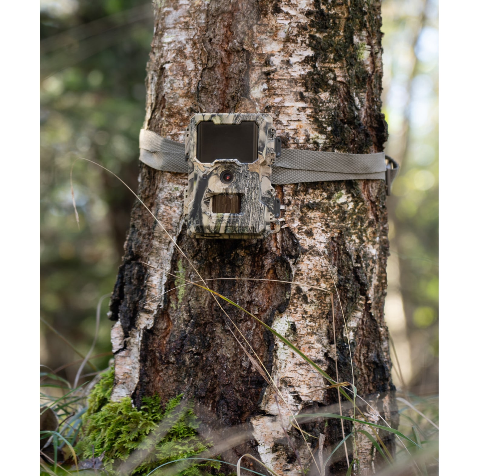 Drr Wildkamera SnapShot Mini 5.0 Pro - bei KOX online bestellen | XXDR204501