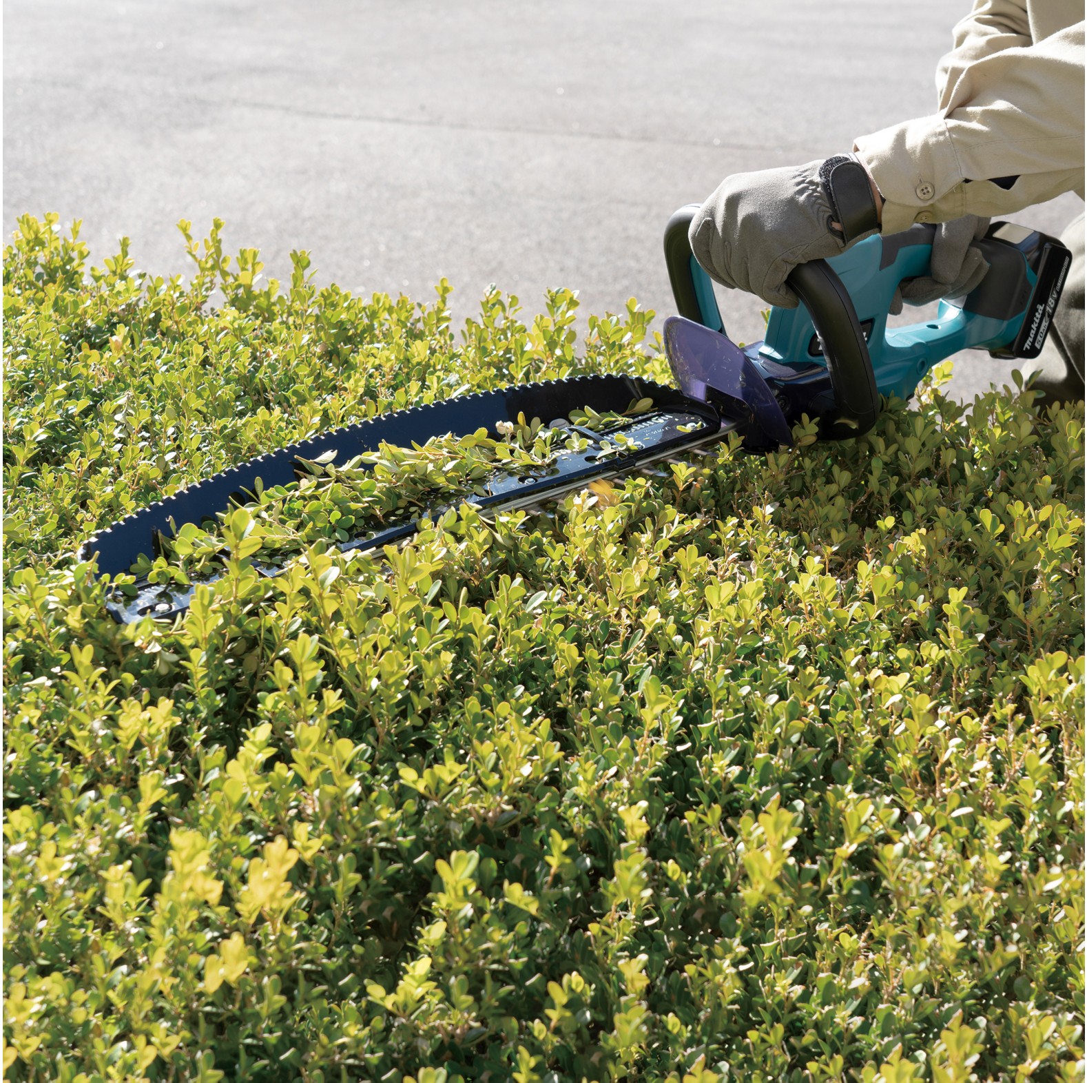 Makita Akku-Heckenschere DUH507Z 18V 50 cm - bei KOX online bestellen | XXDUH507Z