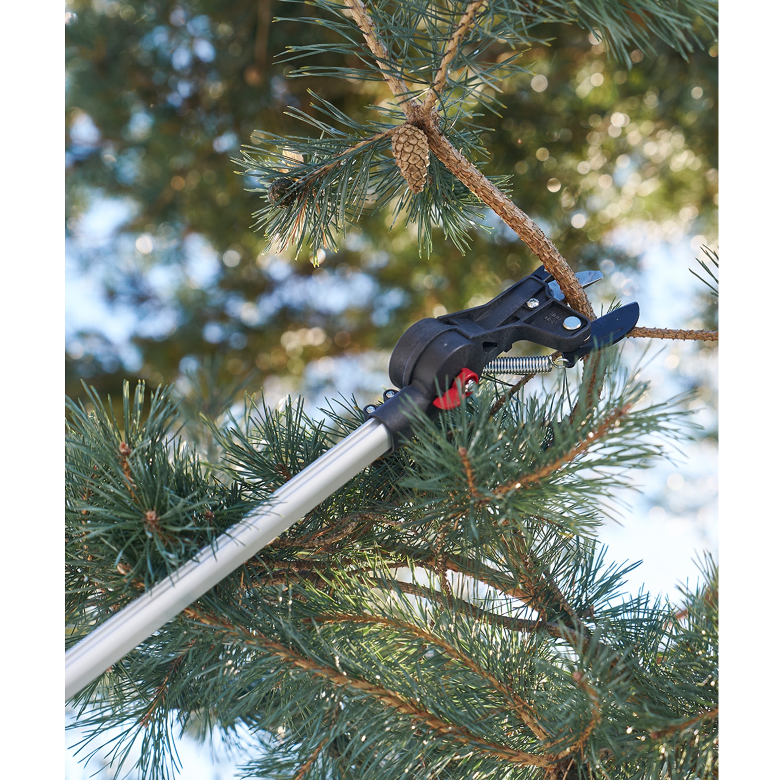 Felco Teleskop Astschere 290 - bei KOX online bestellen | XXFELCO-290