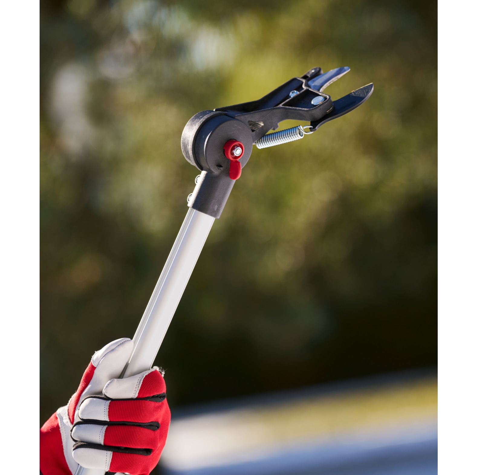 Felco Teleskop Astschere 290 - bei KOX online bestellen | XXFELCO-290