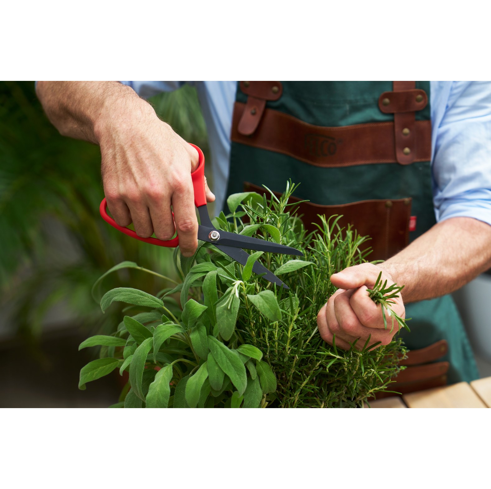 Felco Blumenschere / Mehrzweckschere 455 fr groe Hnde - bei KOX online bestellen | XXFELCO-455