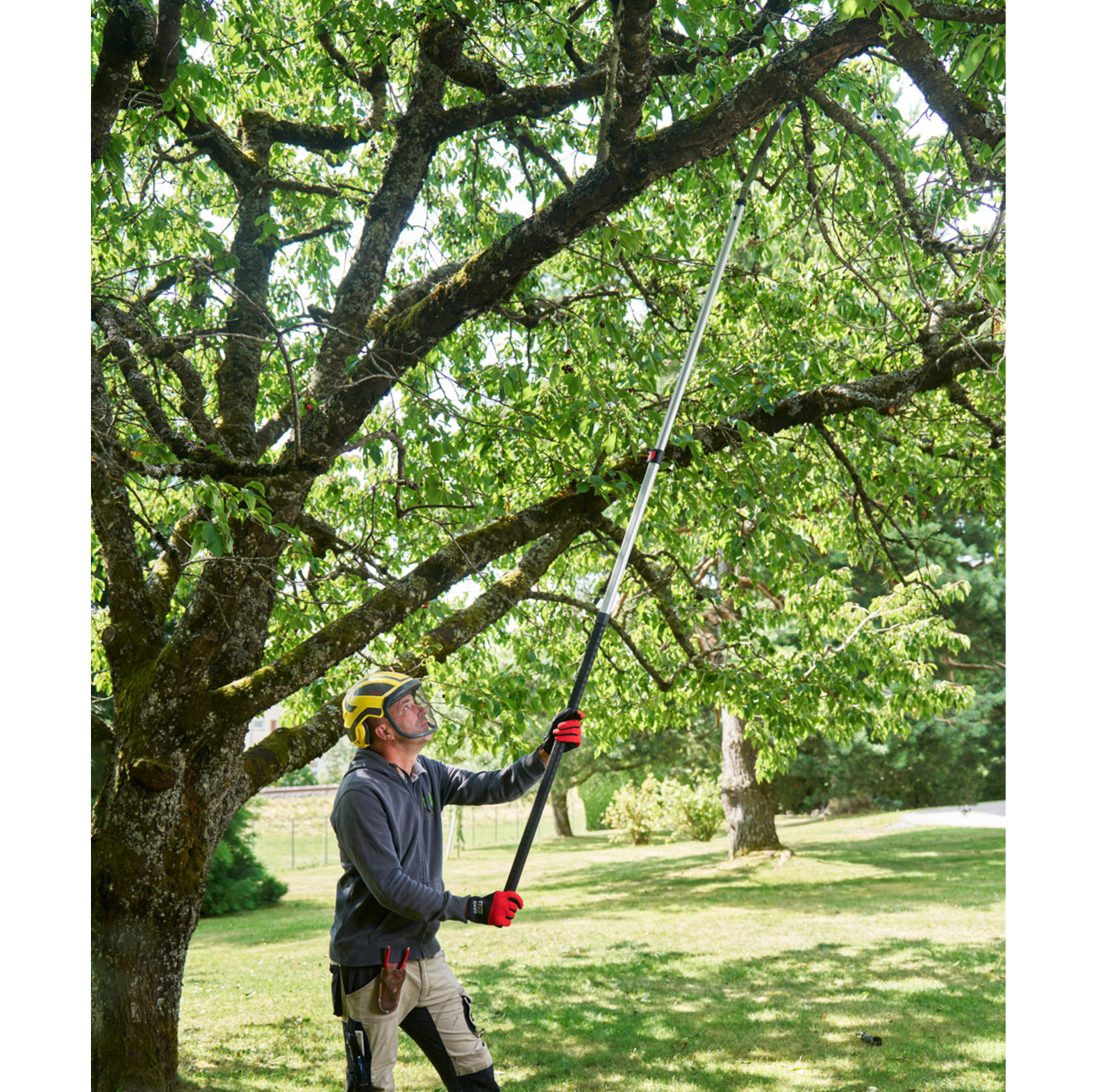 Felco Teleskops�ge 682 - bei KOX online bestellen | XXFELCO-682