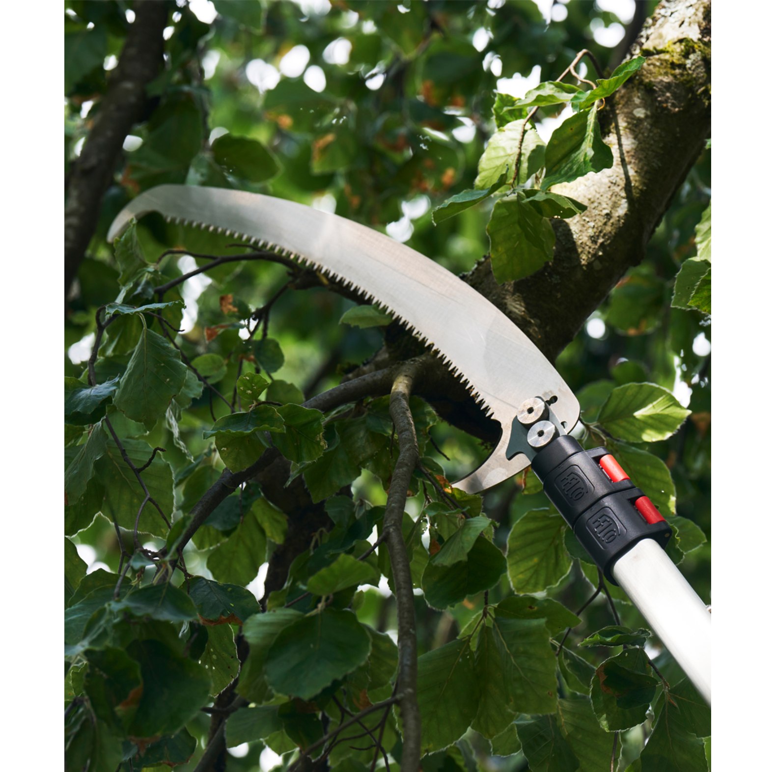 Felco Teleskopsge 684 - bei KOX online bestellen | XXFELCO-684