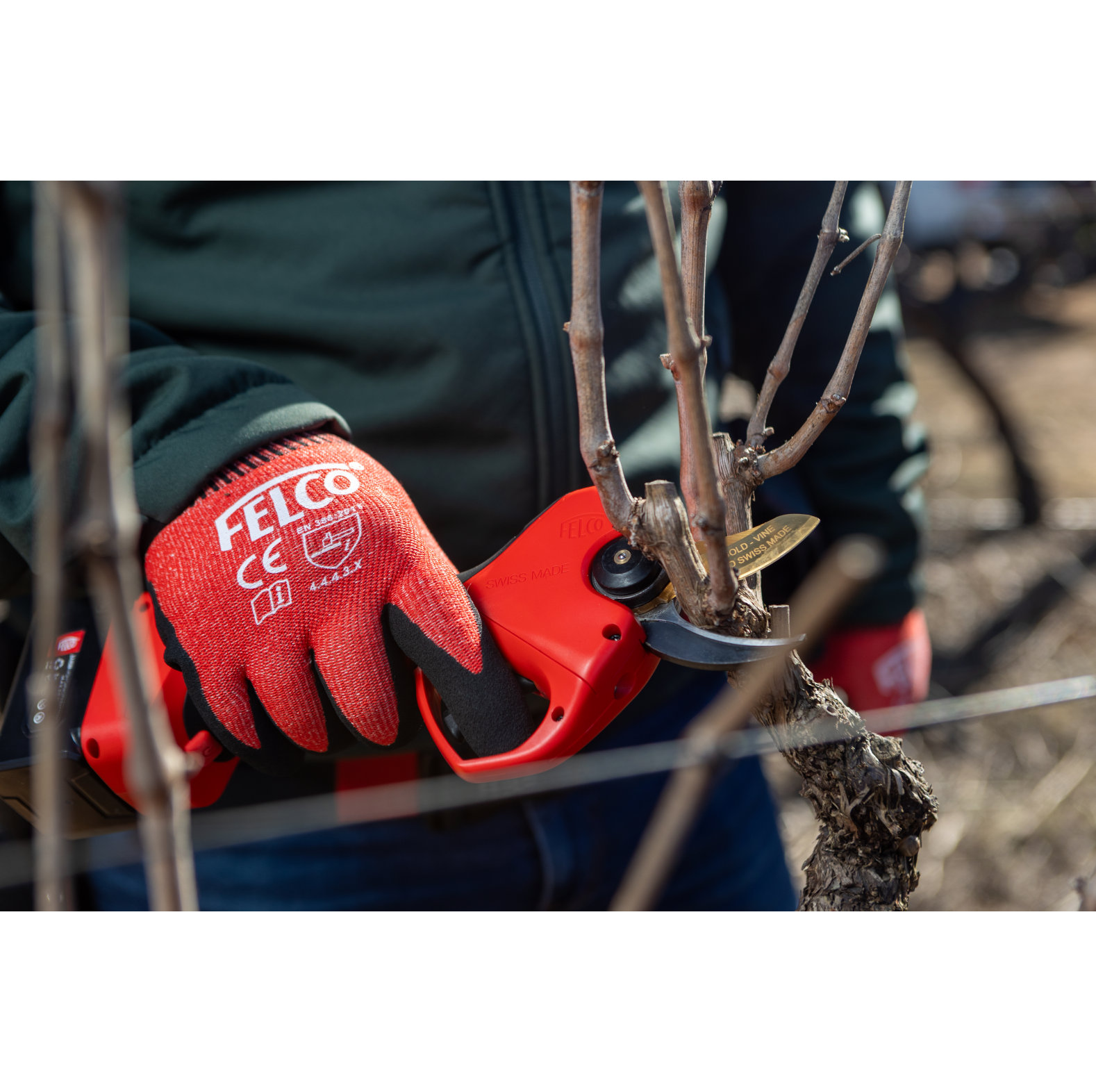 Felco elektrische Rebschere 834V - bei KOX online bestellen | XXFELCO-834V