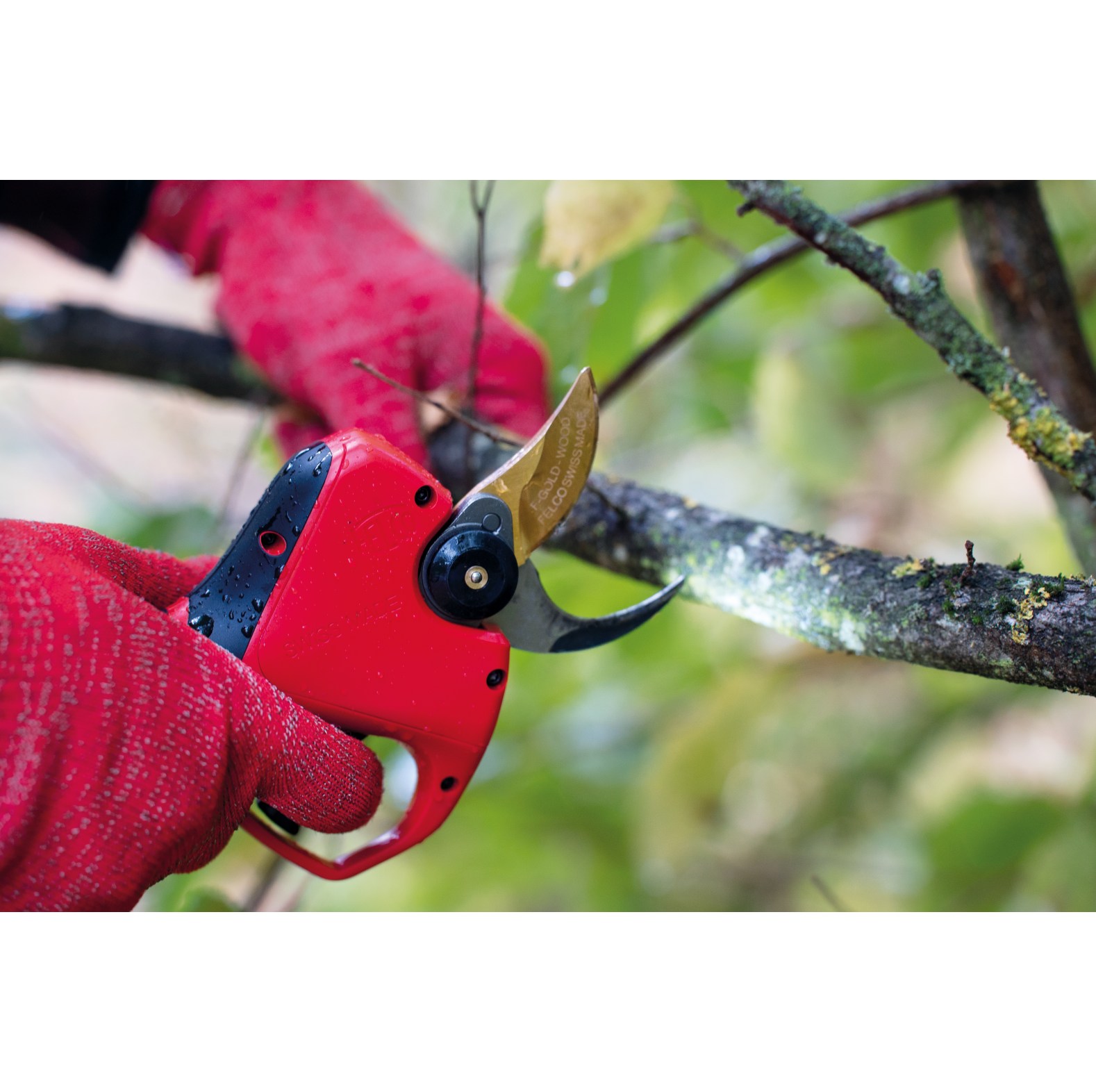 Felco elektrische Astschere 834W - bei KOX online bestellen | XXFELCO-834W