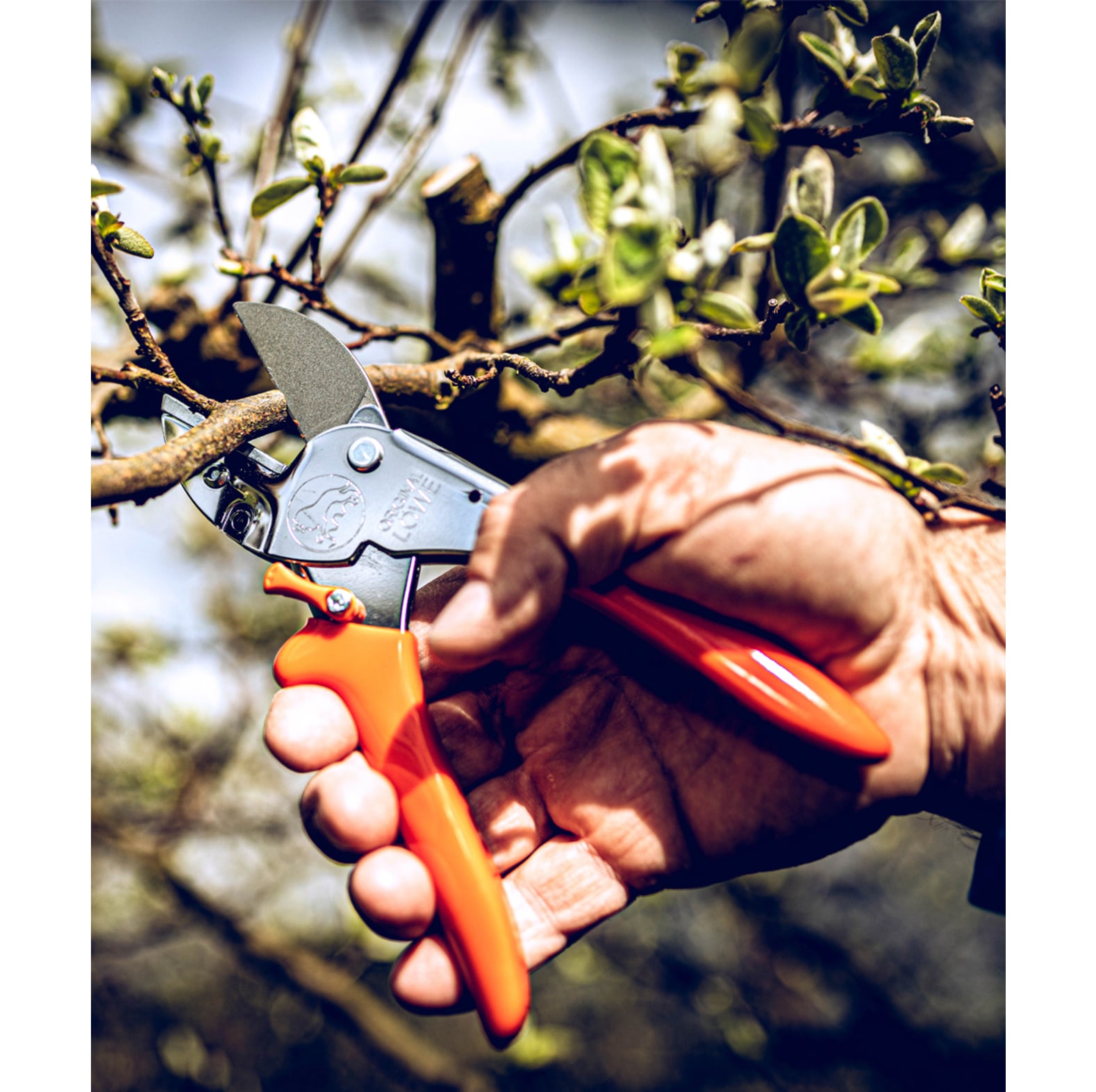 Original LWE tuinschaar 1.104 - bij KOX online bestellen | XXL1104