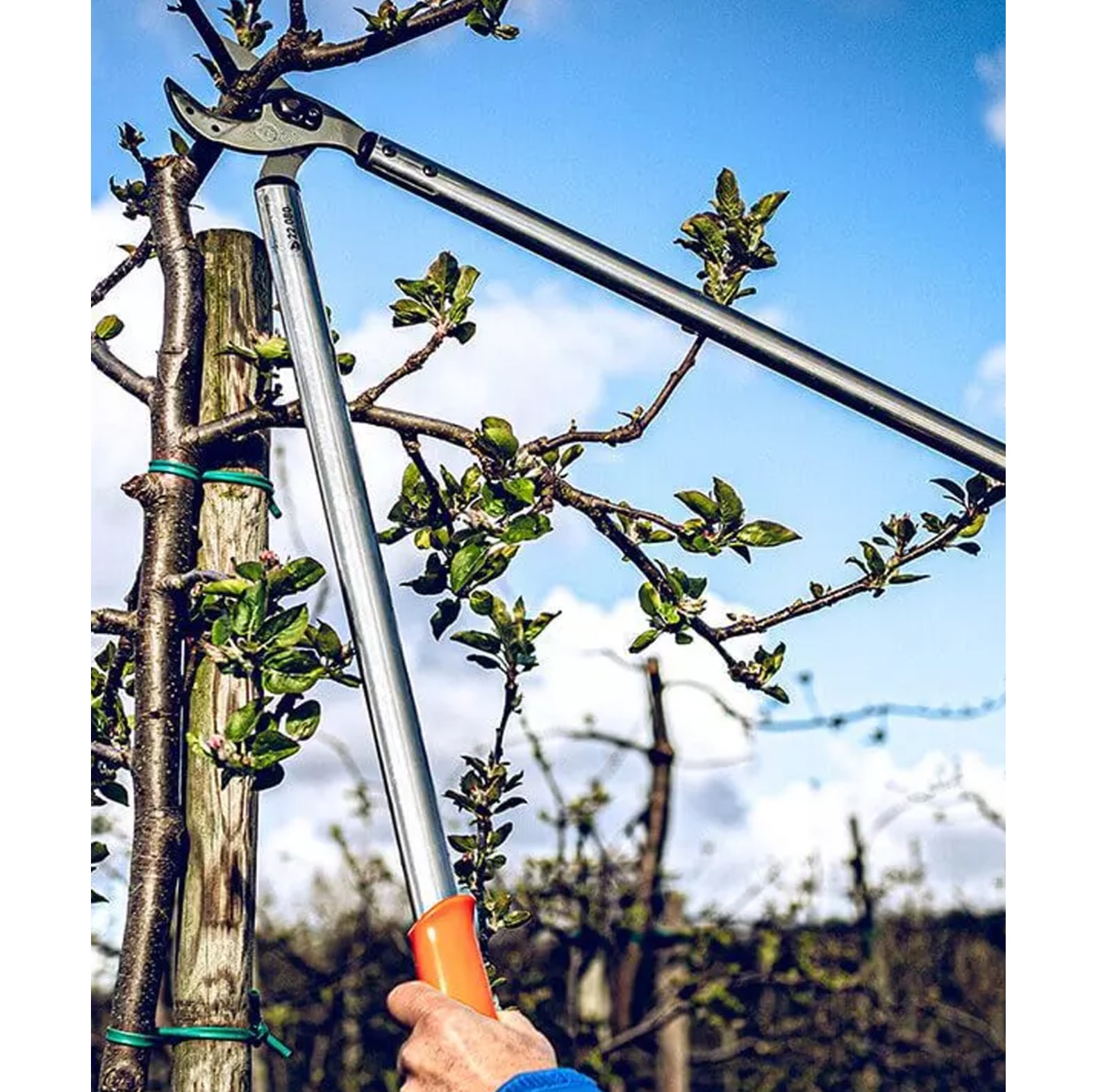 Original LWE snoeischaar 22.080 - bij KOX online bestellen | XXL22080