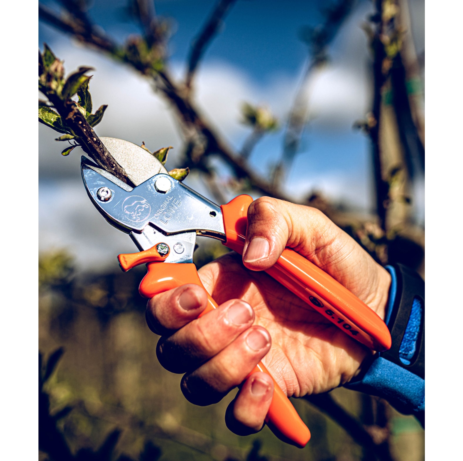 Scateur d'origine LWE 5.104 - commander en ligne chez KOX | XXL5104