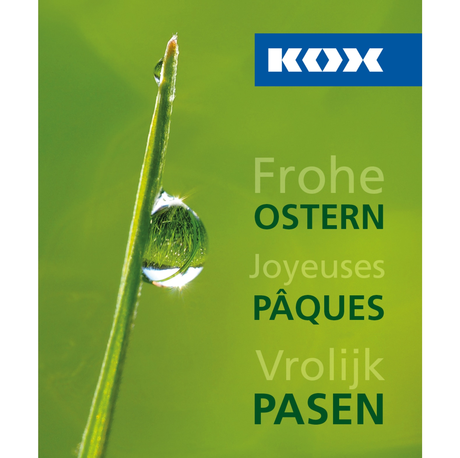  KOX Geschenk-Gutschein - Frohe Ostern - bei KOX online bestellen | XXDEGV-5 