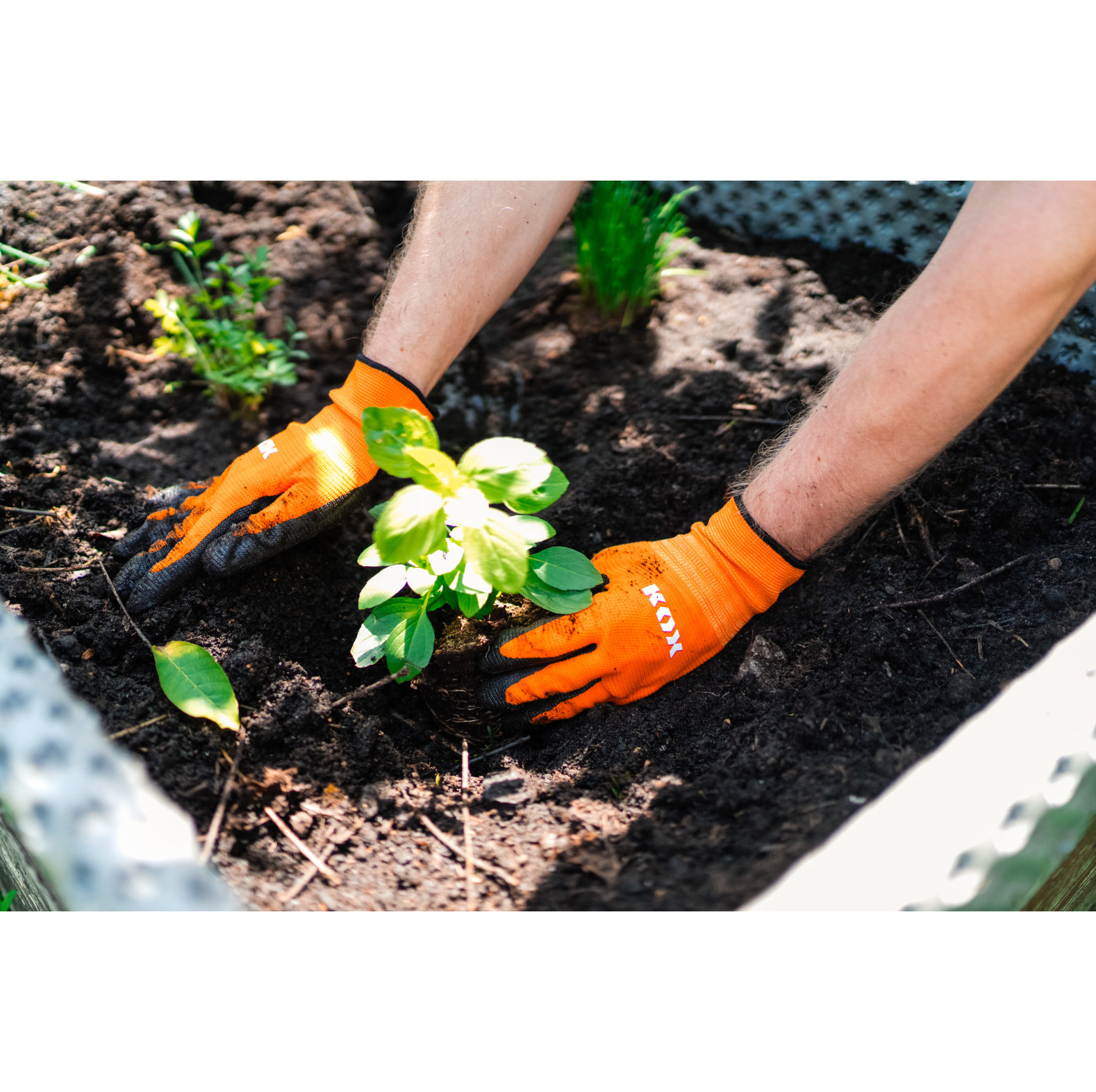 KOX Arbeitshandschuhe / Gartenhandschuhe Flex Orange - bei KOX online bestellen | XX75322