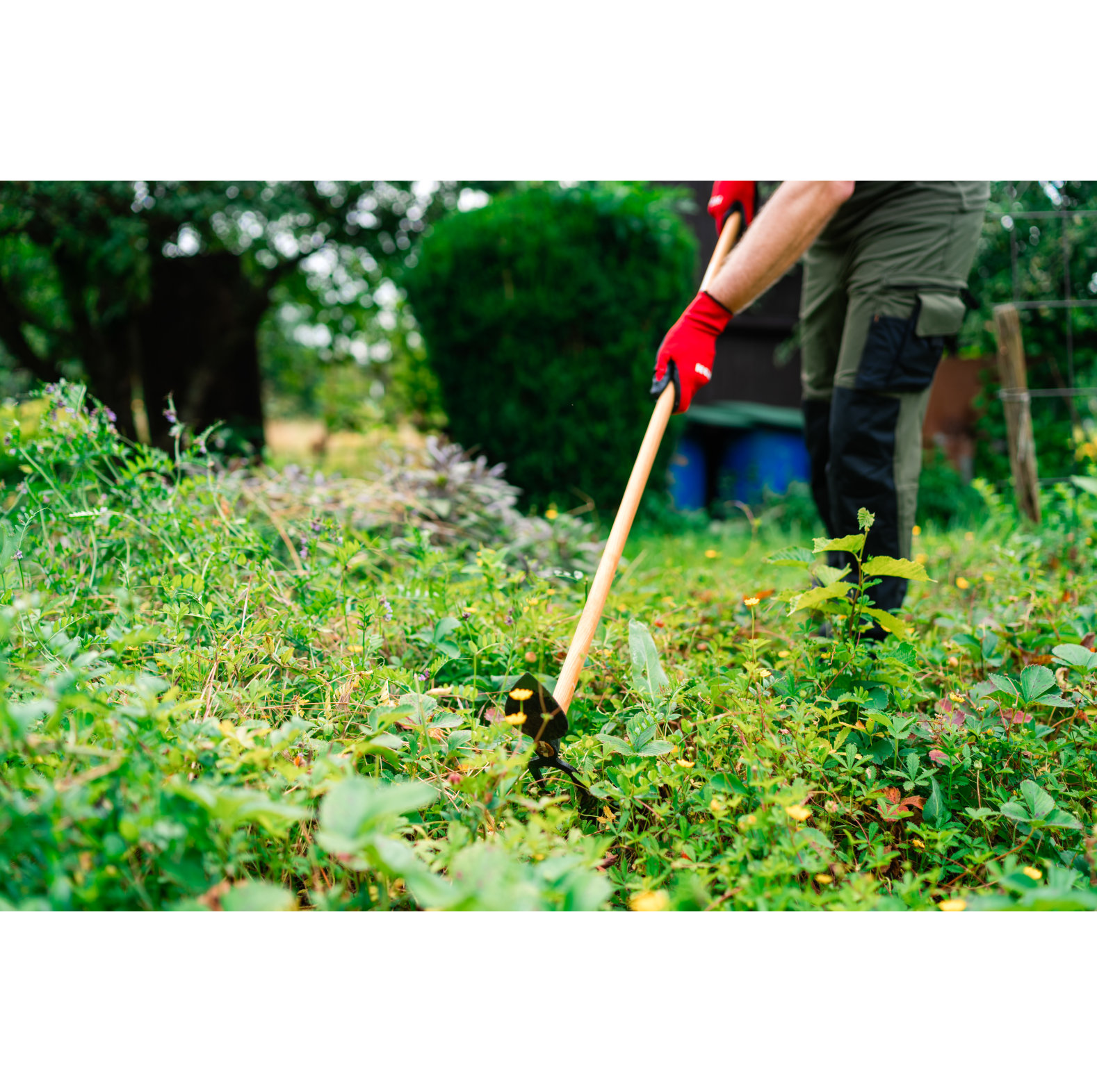 KOX Gartenhacke Herzblatt, 2 Zinken - bei KOX online bestellen | XXKOX56751