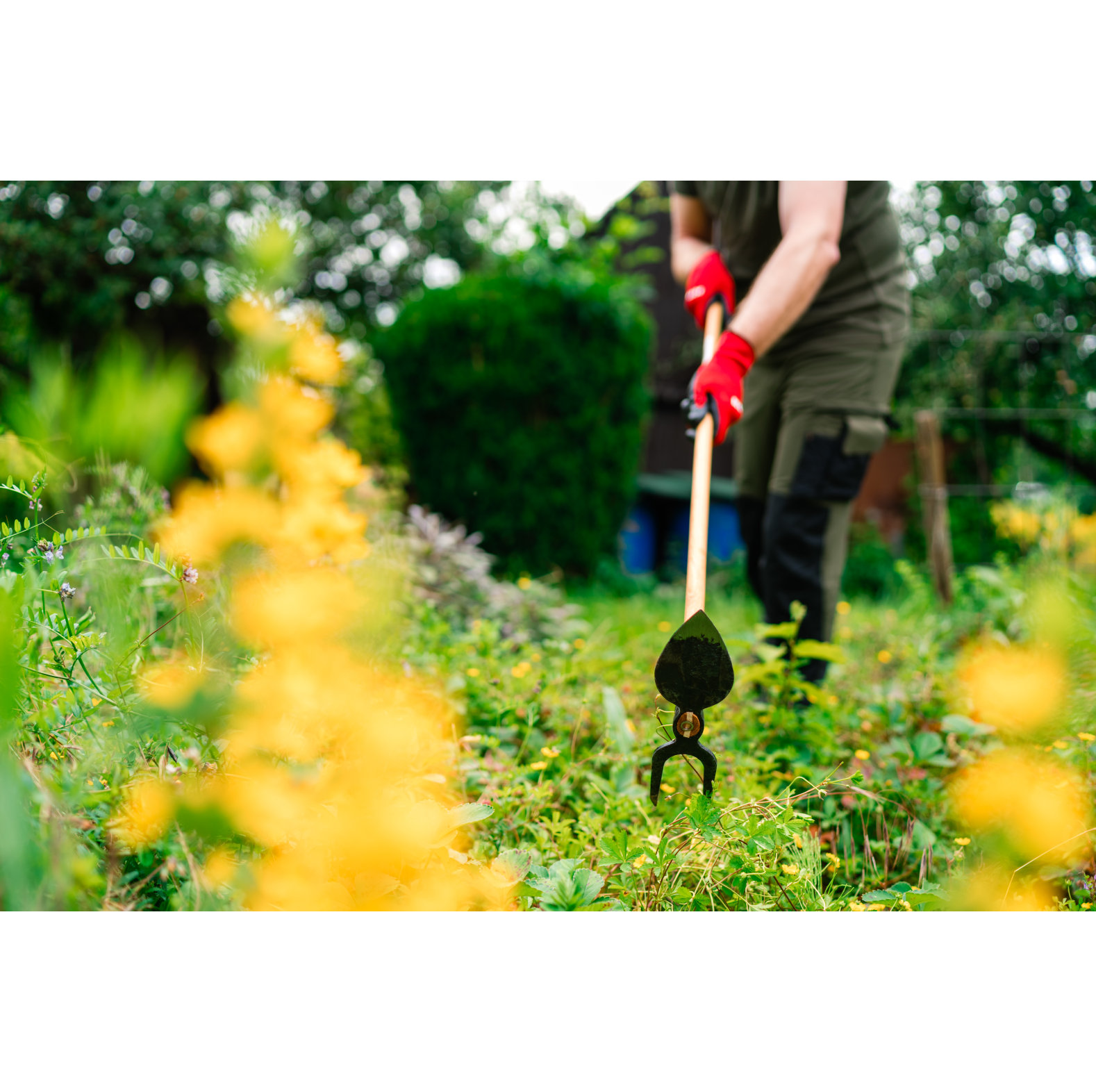 KOX Gartenhacke Herzblatt, 2 Zinken - bei KOX online bestellen | XXKOX56751