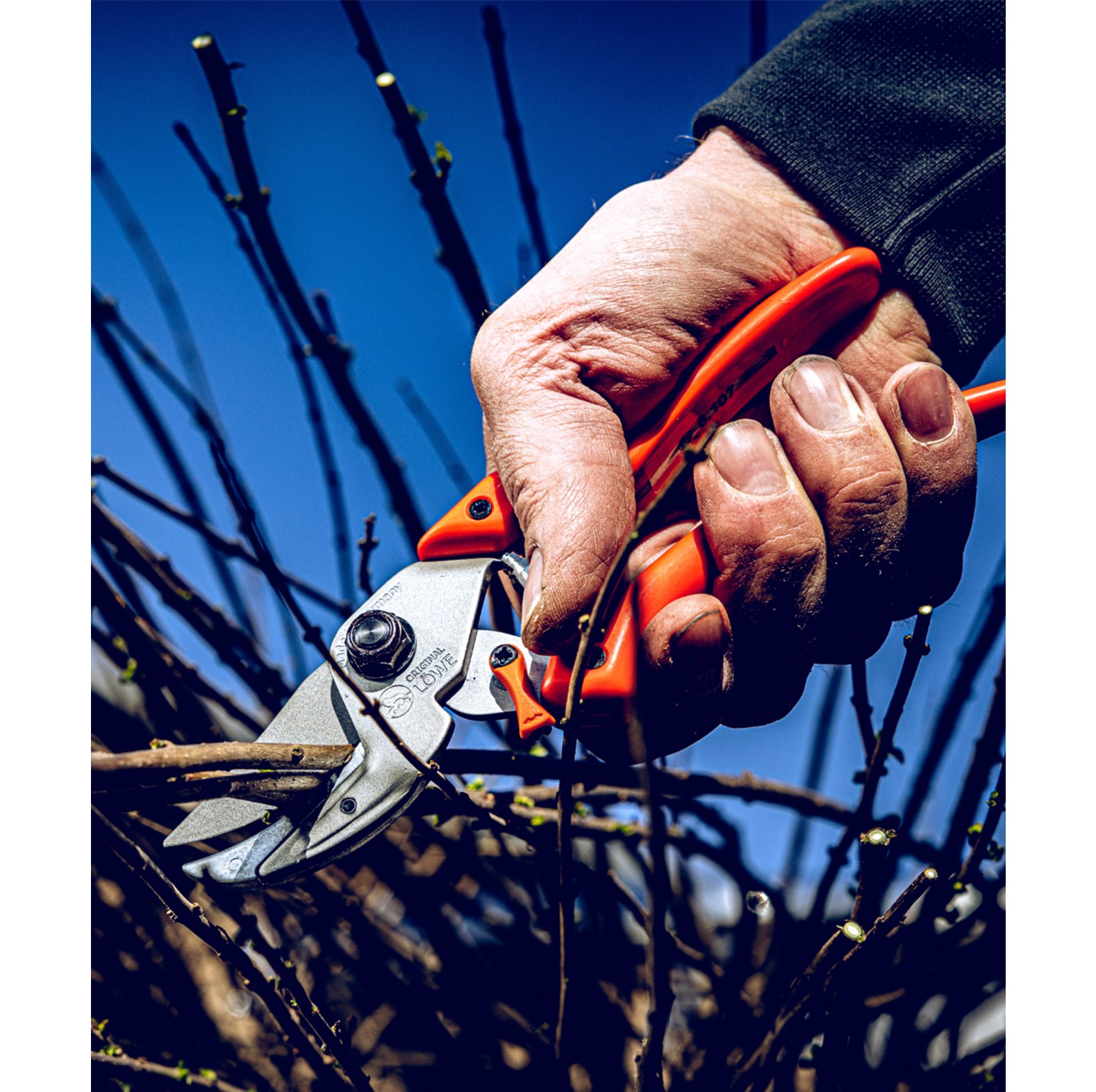 Original LWE  Gartenschere 8.107 - bei KOX online bestellen | XXL8107