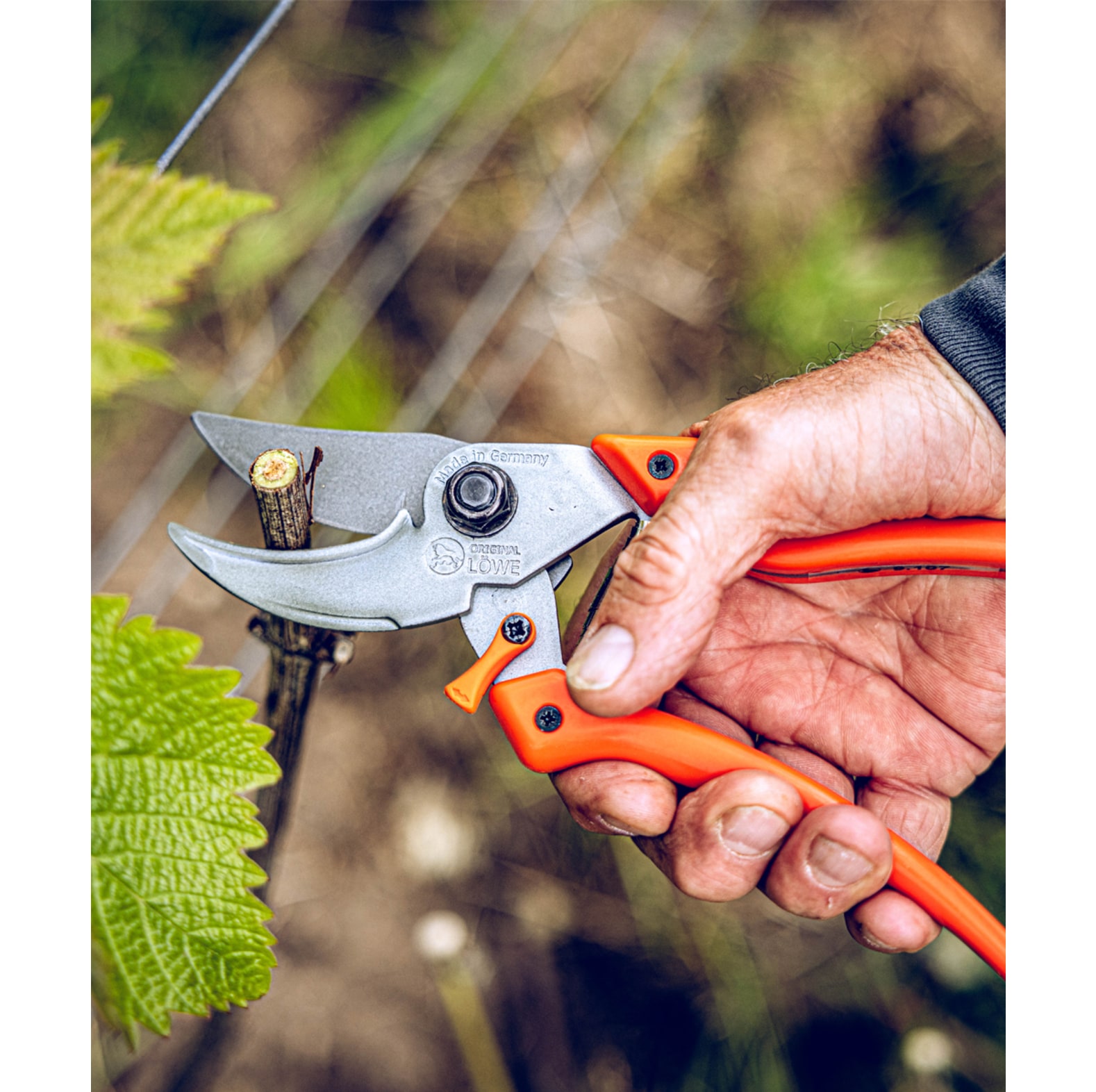 Original LWE Gartenschere 9.107 - bei KOX online bestellen | XXL9107