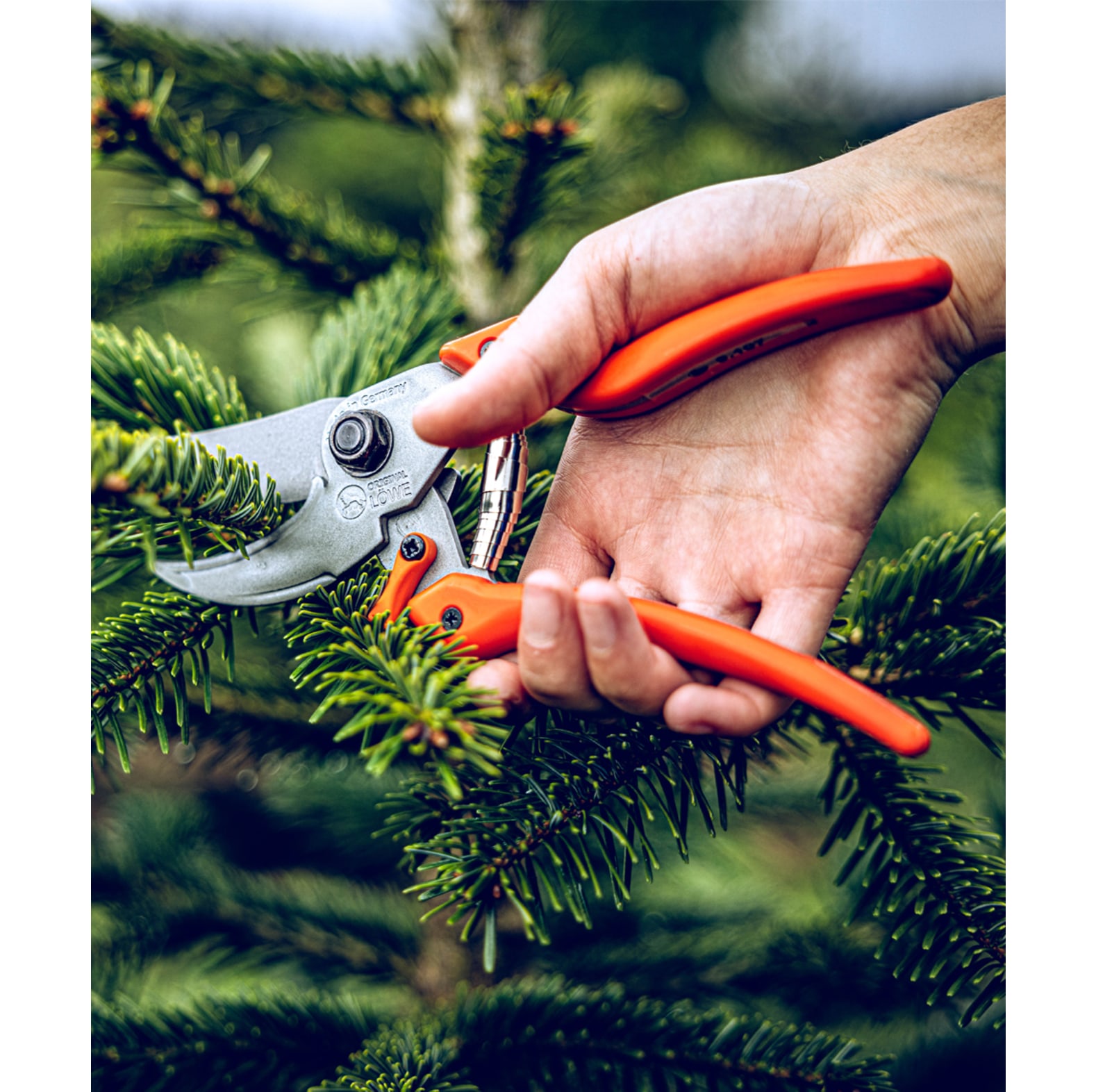 Original LWE Gartenschere 9.107 - bei KOX online bestellen | XXL9107