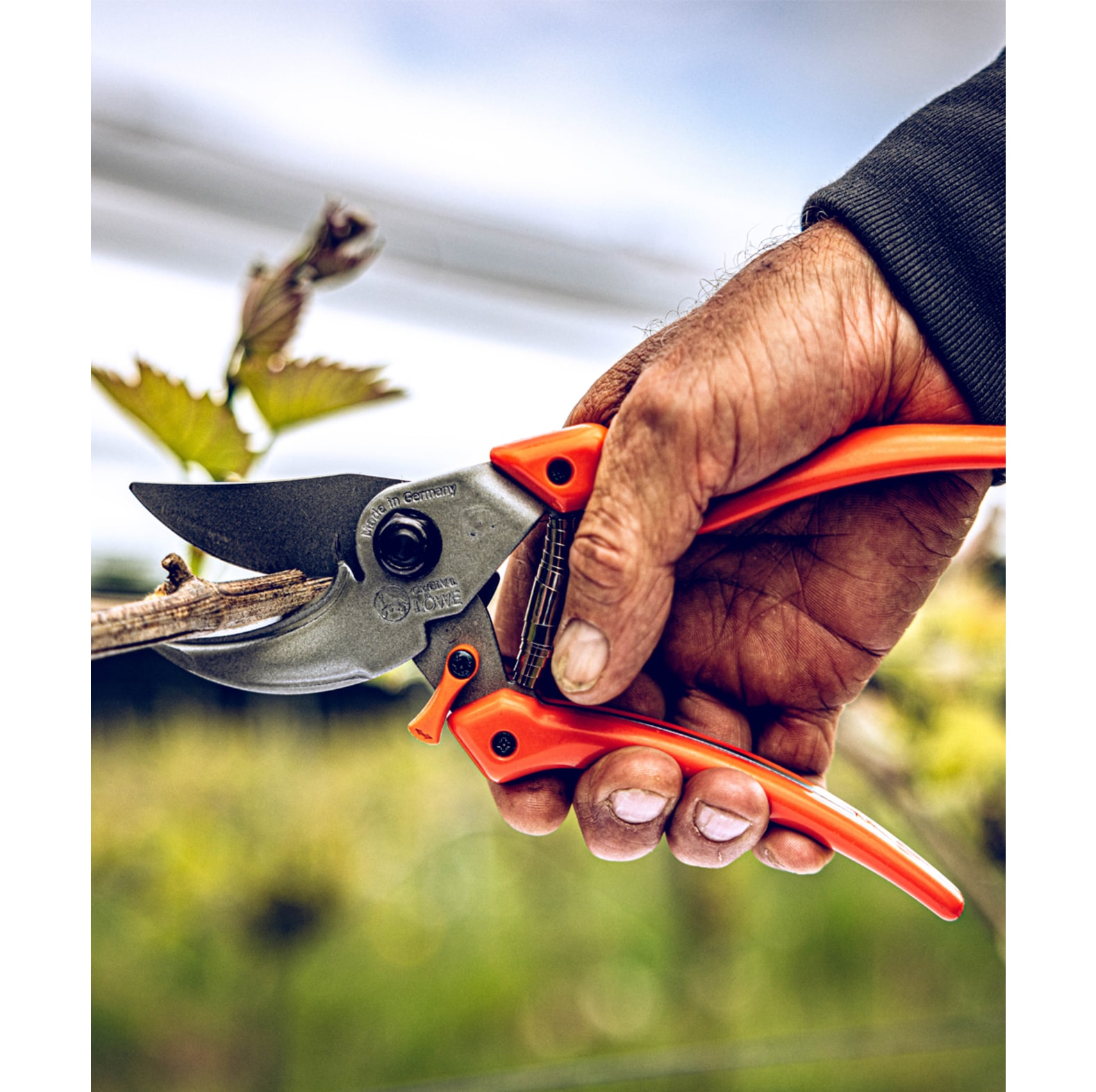 Original LWE Gartenschere 9.107 - bei KOX online bestellen | XXL9107