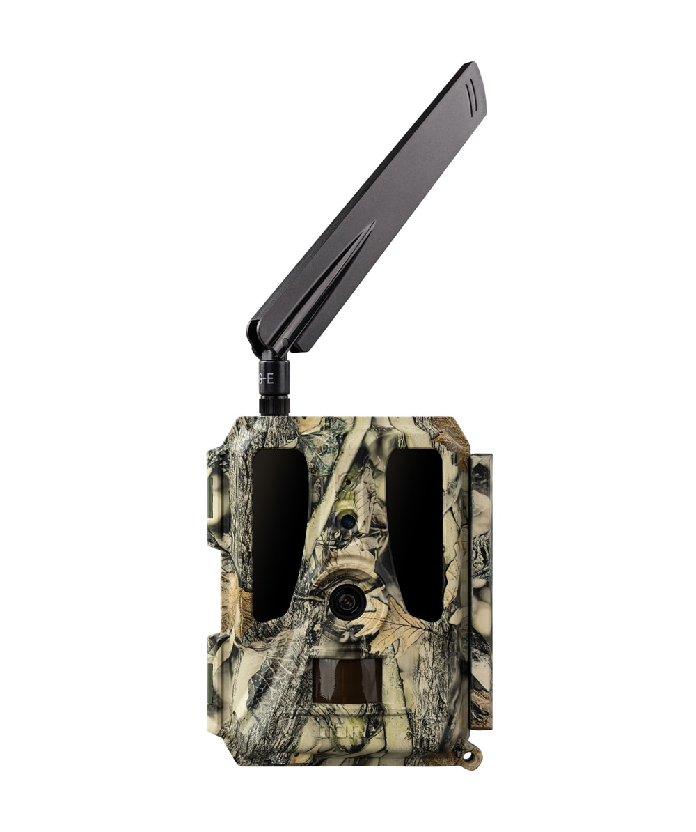Camra de surveillance de la faune SnapShot Cloud Pro 4G Drr - commander en ligne chez KOX | XXDR204448