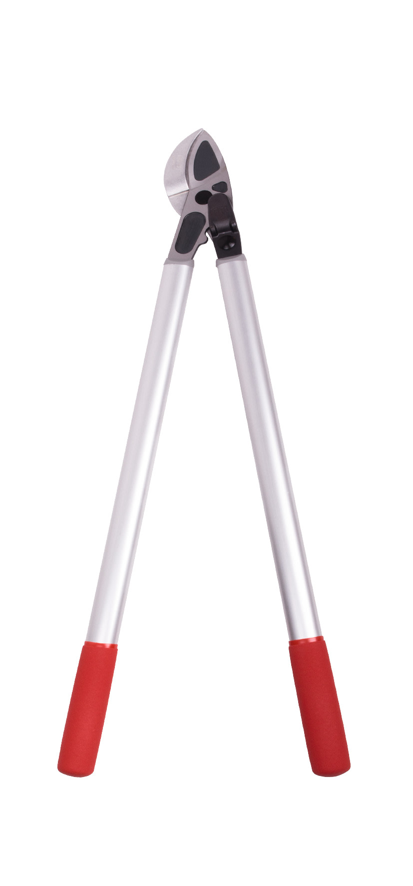 Felco snoeischaar 231, 80 cm lang - bij KOX online bestellen | XXFELCO-231