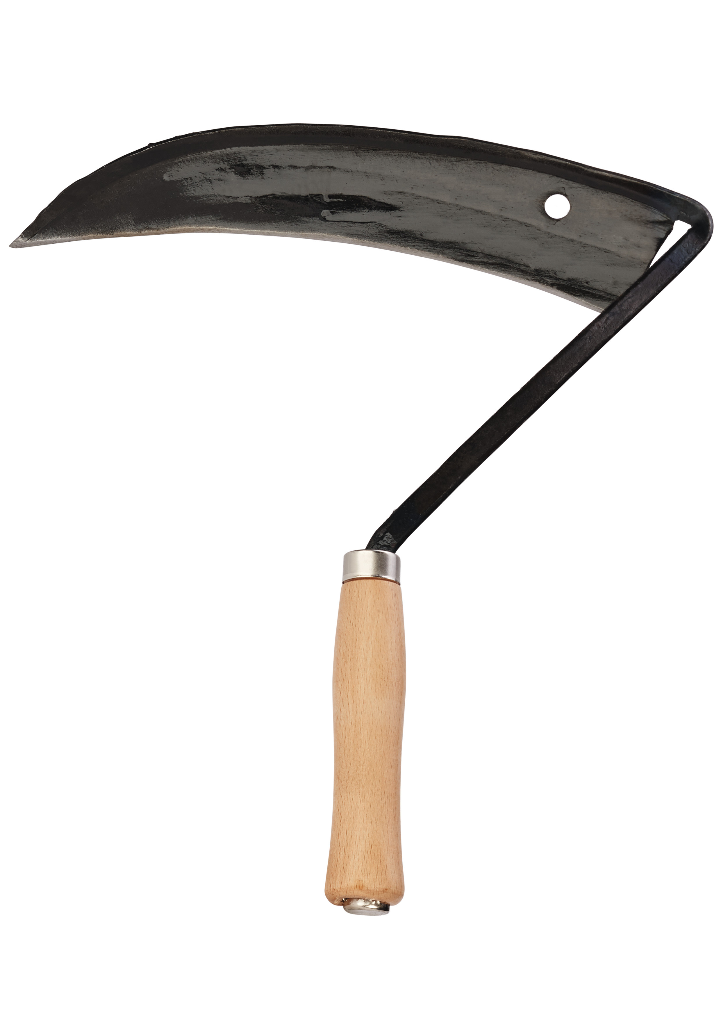 SHW zeis Havau - bij KOX online bestellen | XXSHW54093