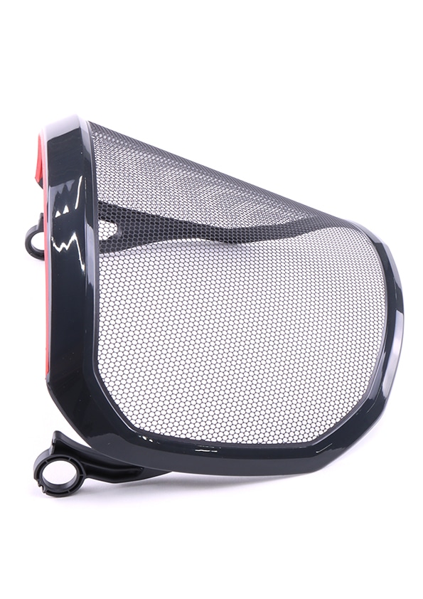 PROTOS Integral tzmetallvisir/ Forsthelm Visier G16 - bei KOX online bestellen | XX74331