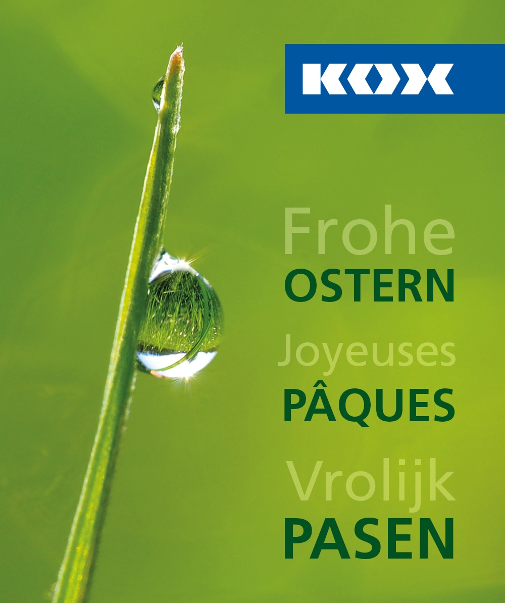 Carte cadeau KOX - Joyeuses Pques - commander en ligne chez KOX | XXDEGV-5