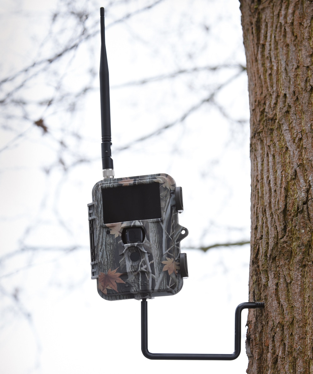 DRR Baumschraube 1/4