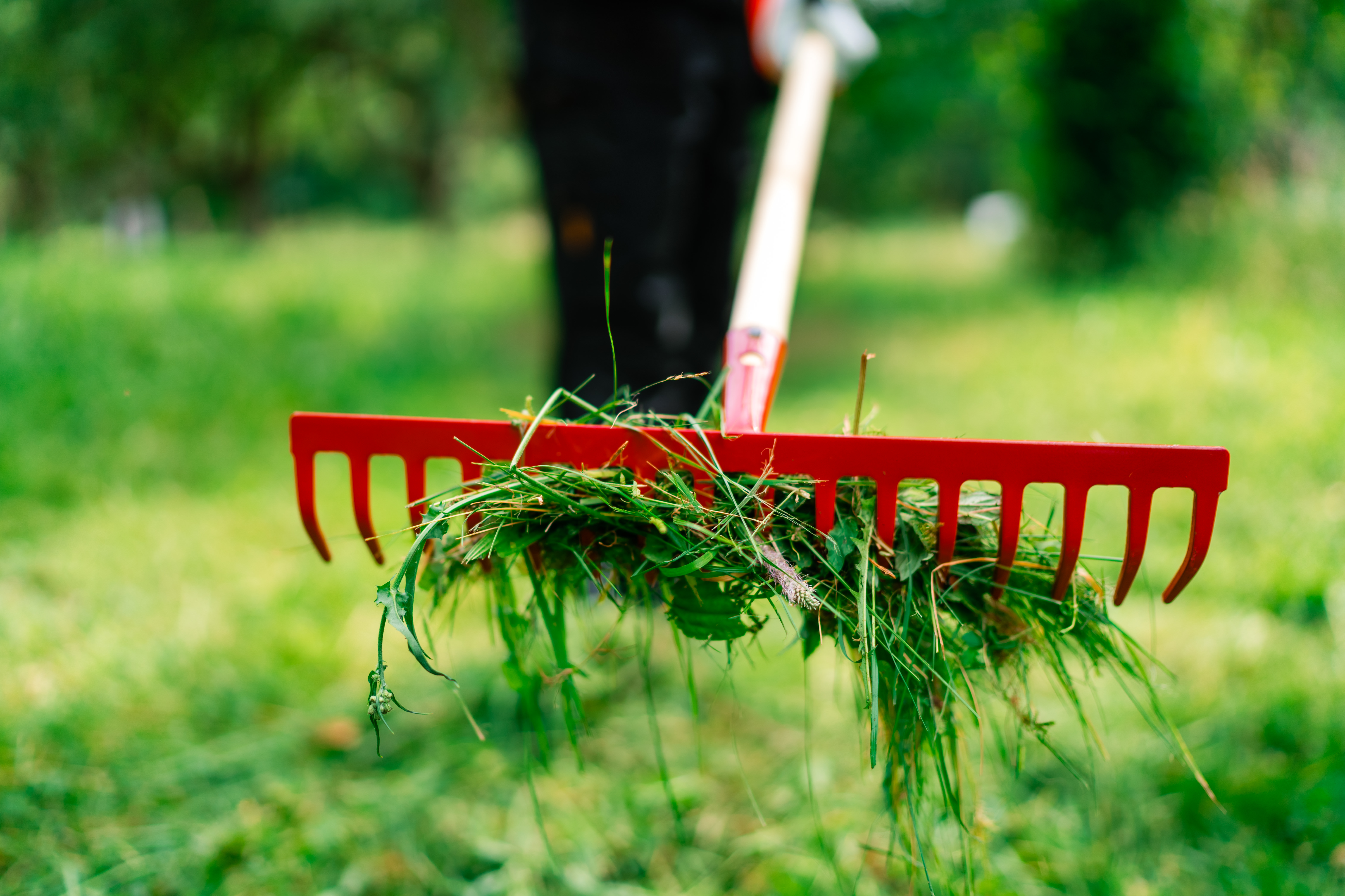 KOX Gartenrechen - bei KOX online bestellen | XXKOX56756