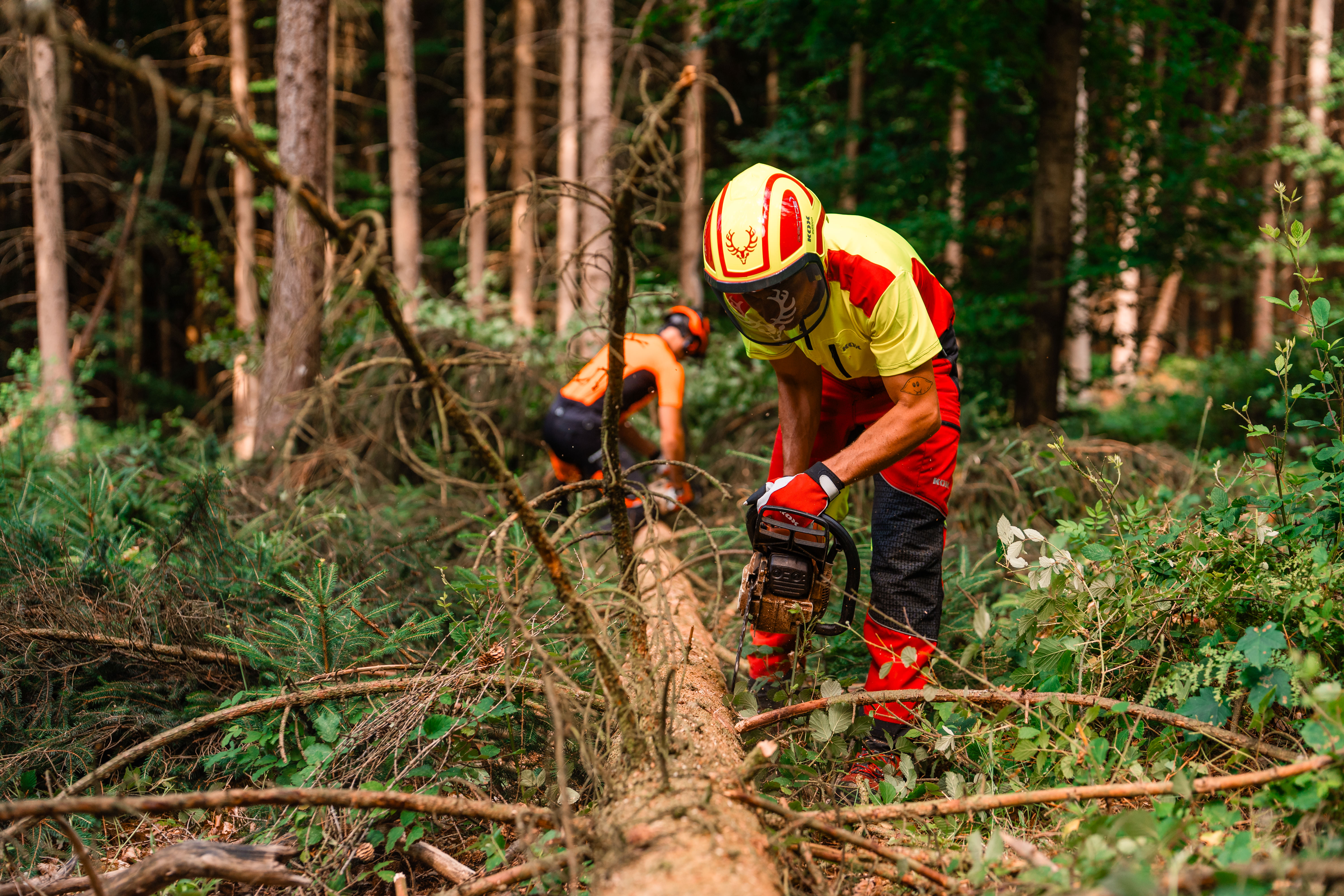 PROTOS� Casque forestier/casque de protection KOX Edition avec protection auditive et visi�re Integral Forest Jaune fluo/Rouge OneSize - commander en ligne chez KOX | XX74109