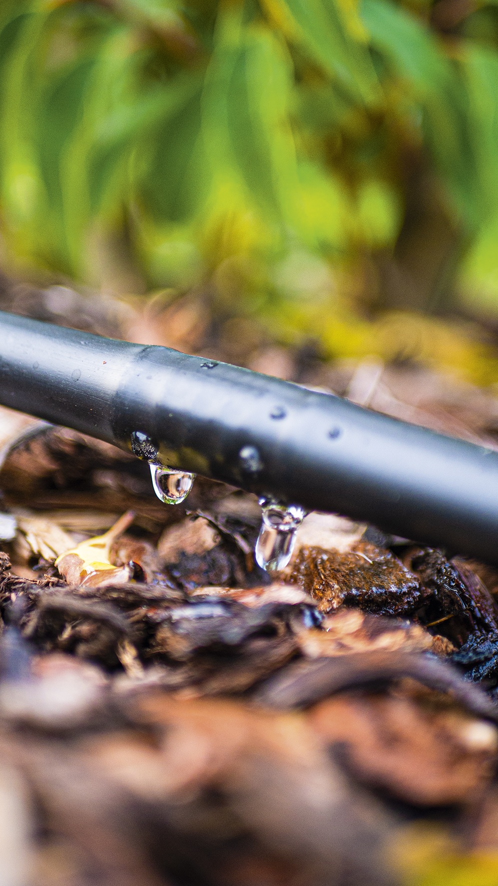 Sirocco SIRO Drip Starter Set Tropfbew�sserung - bei KOX online bestellen | XX91286