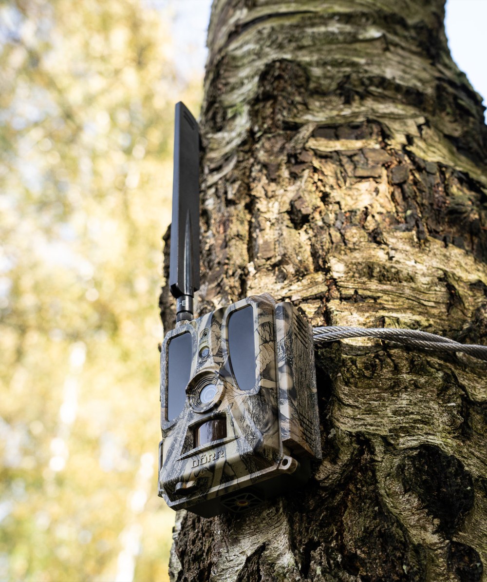 Camra de surveillance de la faune SnapShot Cloud Pro 4G Drr - commander en ligne chez KOX | XXDR204448