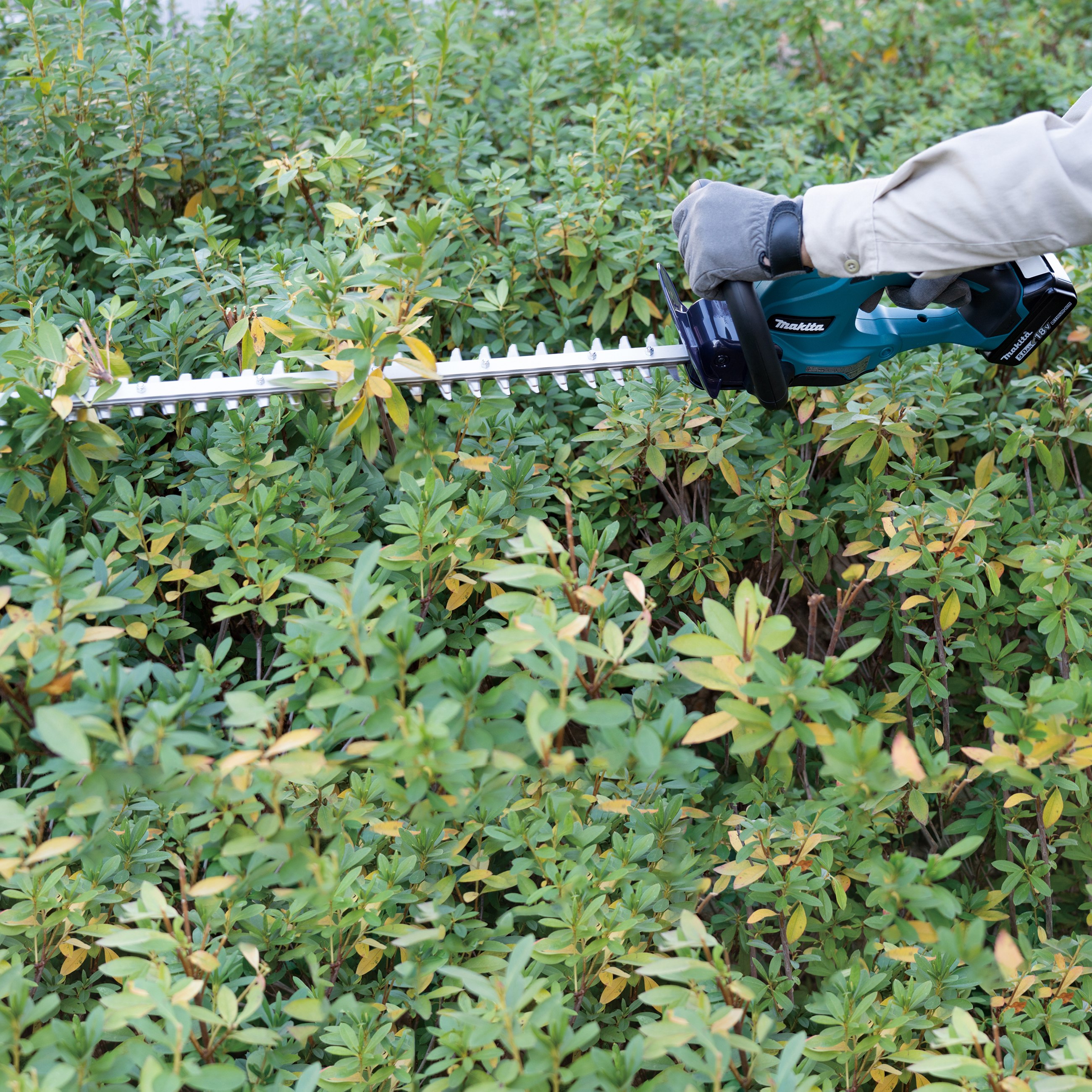 Makita Akku-Heckenschere DUH507Z 18V 50 cm - bei KOX online bestellen | XXDUH507Z
