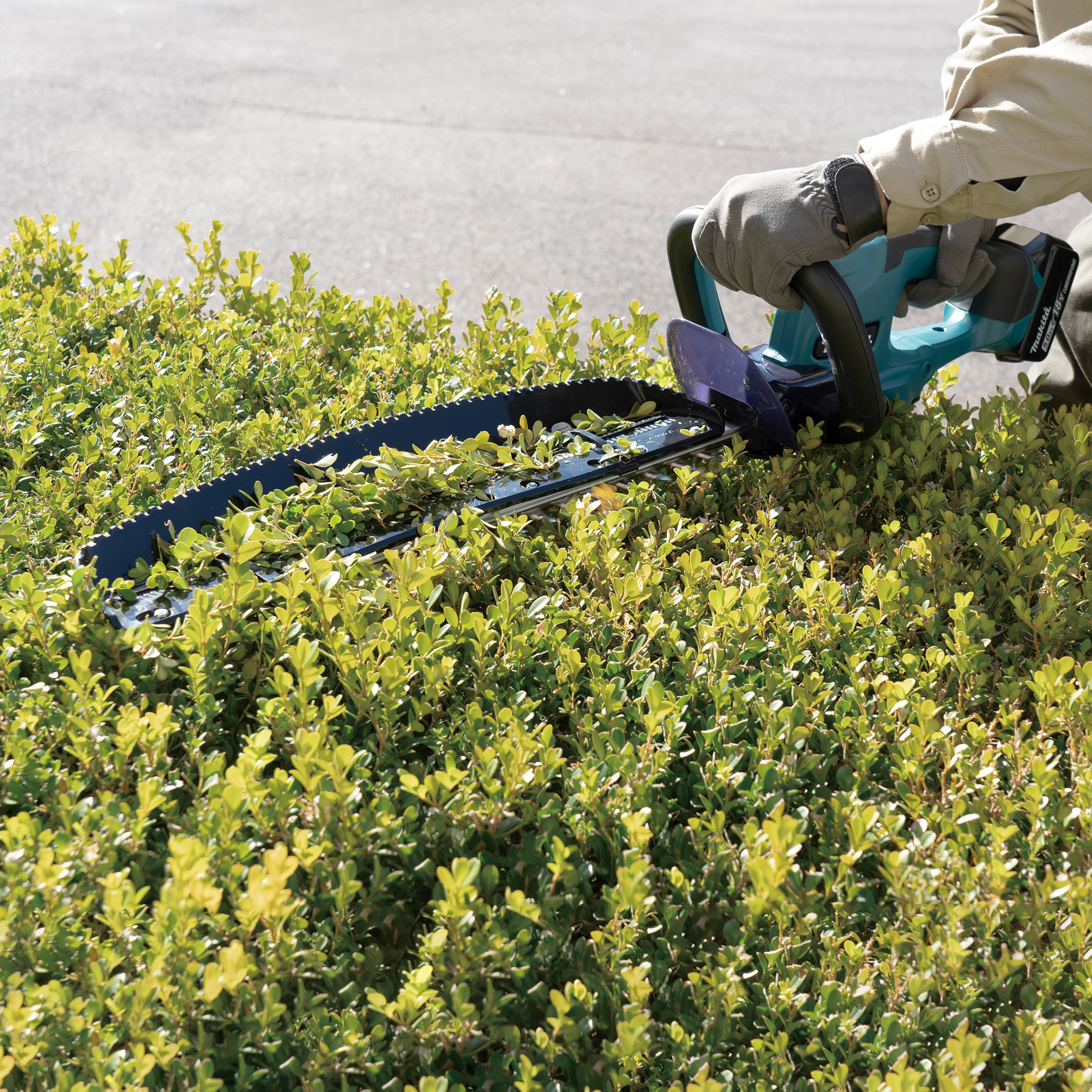 Makita Akku-Heckenschere DUH507Z 18V 50 cm - bei KOX online bestellen | XXDUH507Z